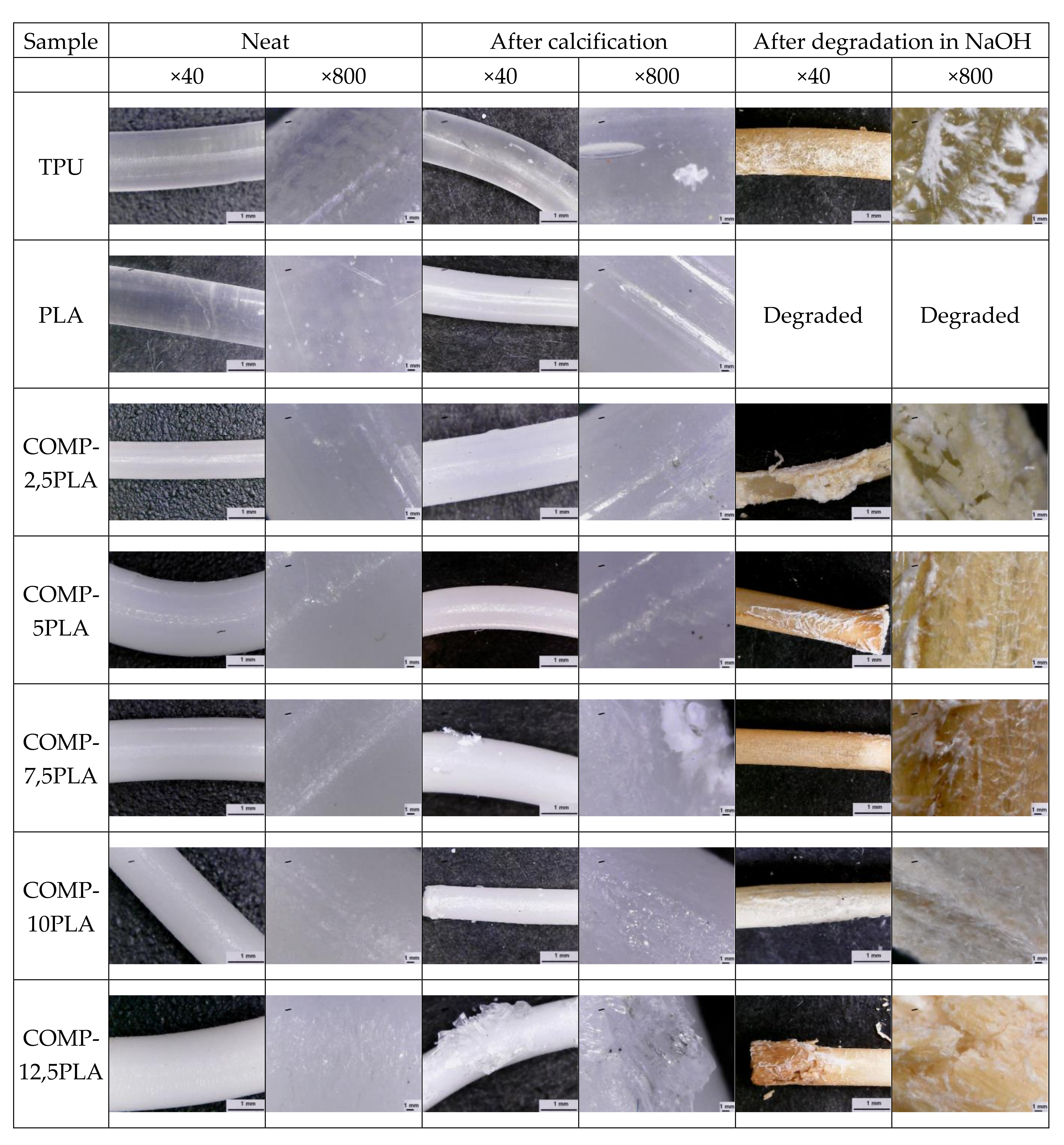 Materials 14 06054 g009 550