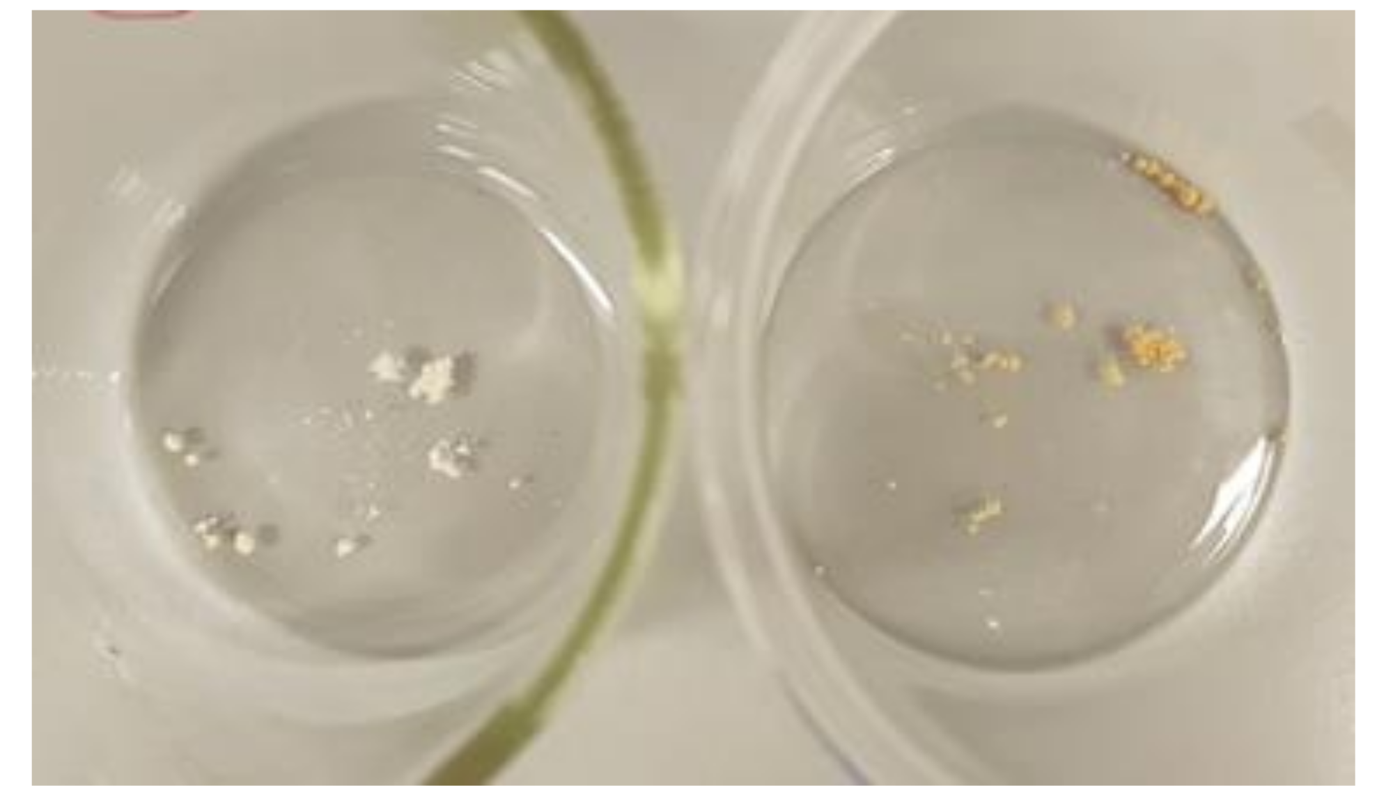 Materials 14 06054 g012 550