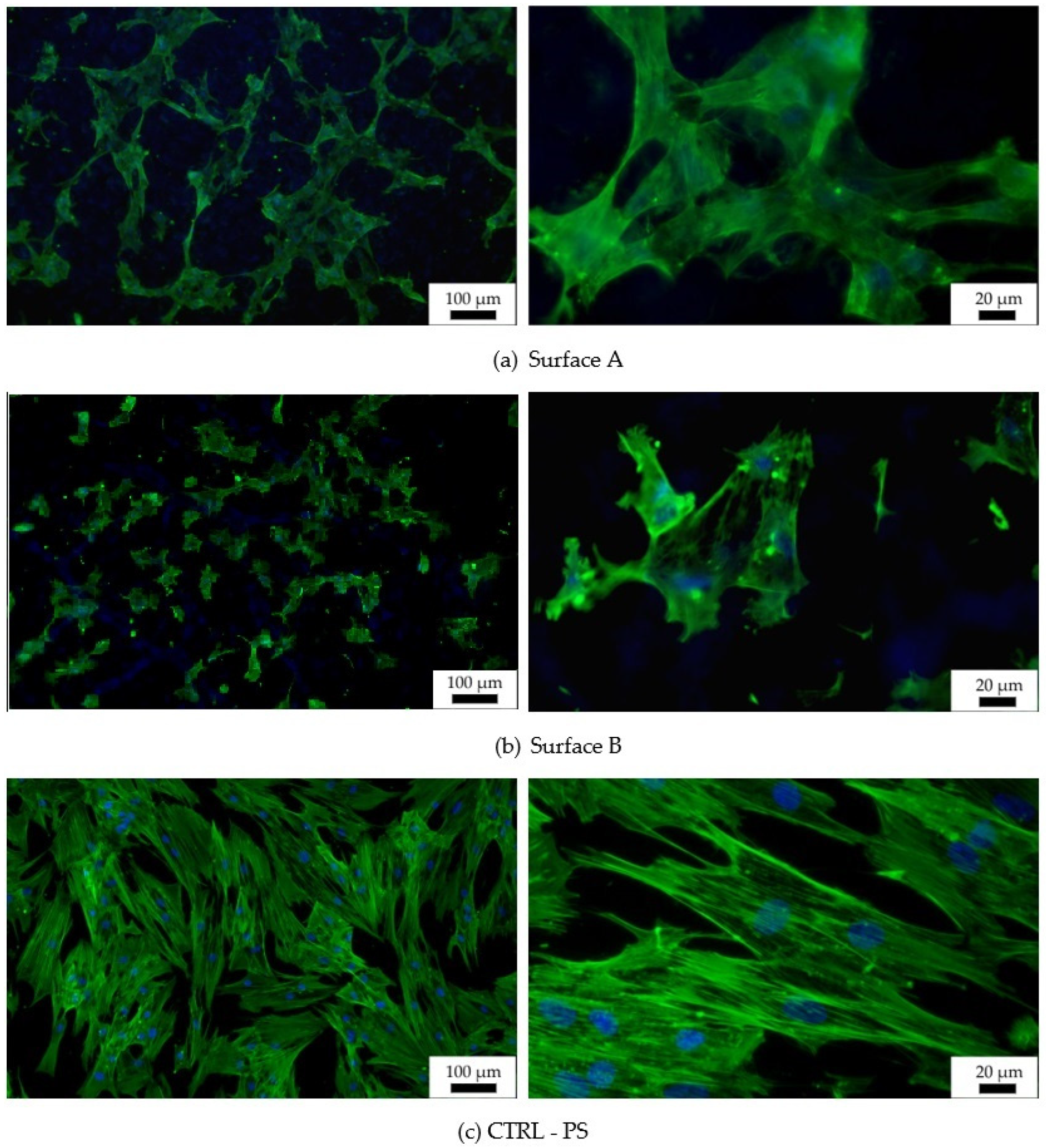 Materials 14 06067 g009