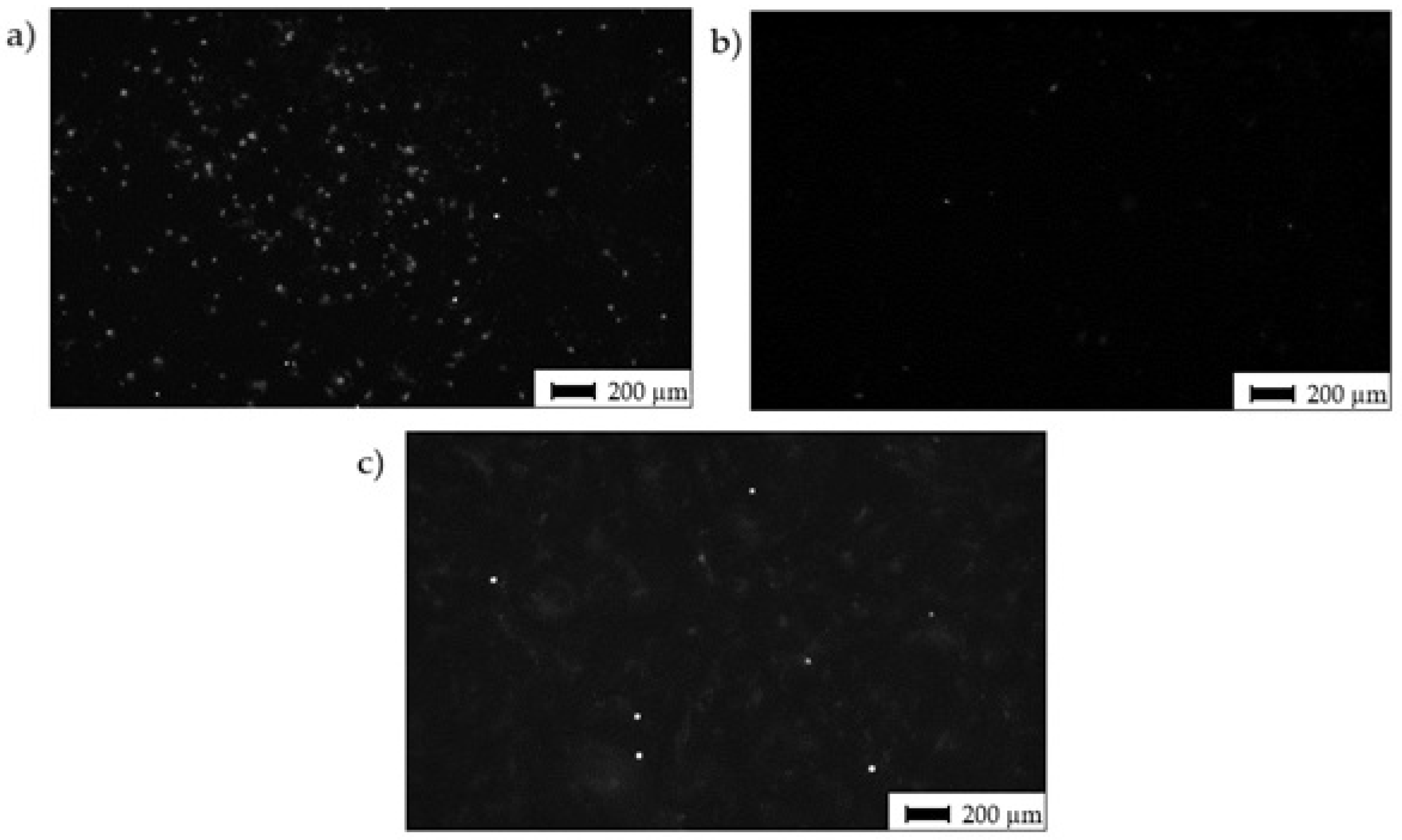 Materials 14 06067 g010