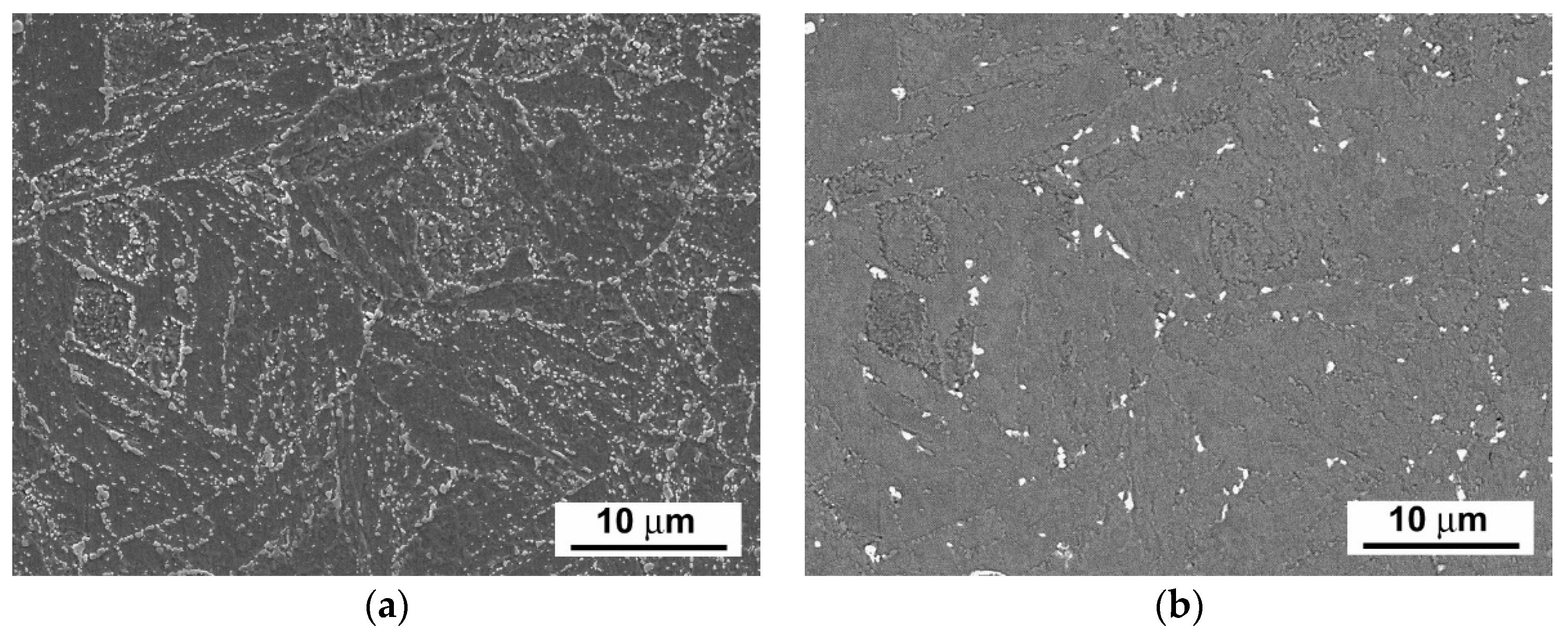 Materials 14 06076 g005