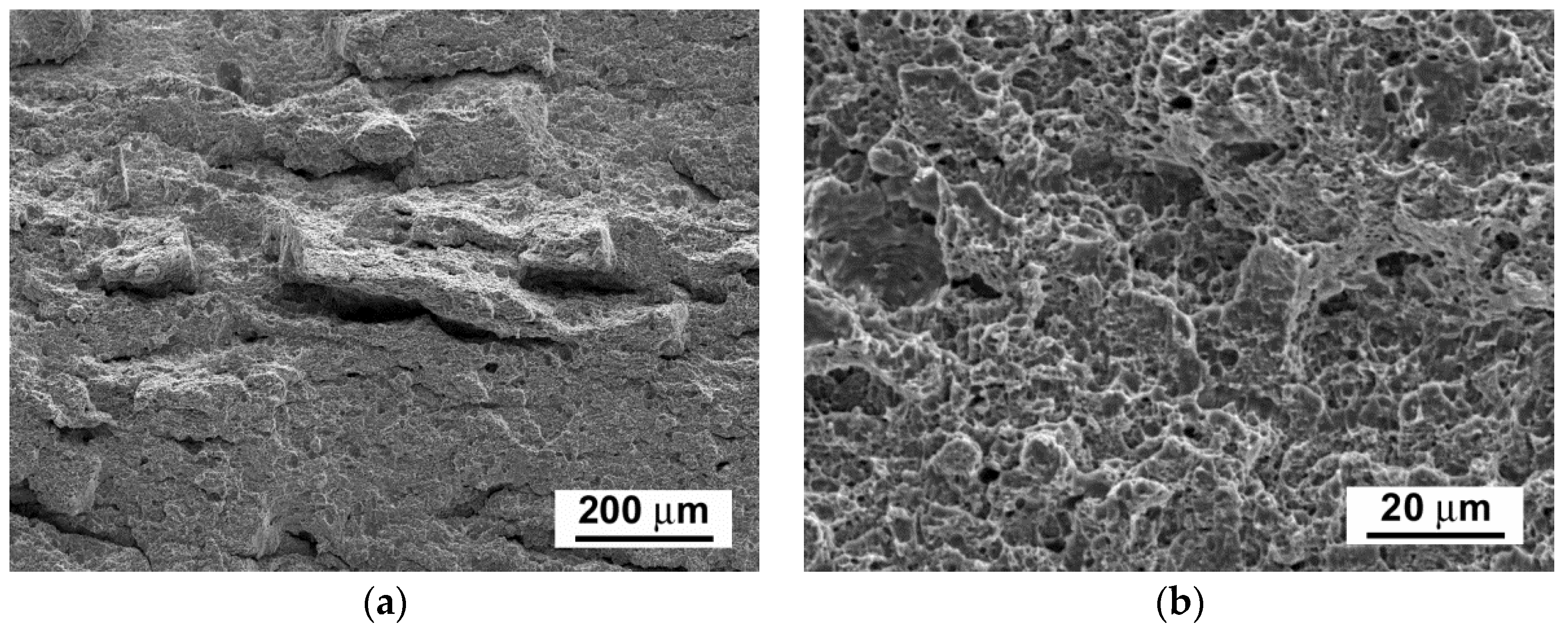 Materials 14 06076 g019