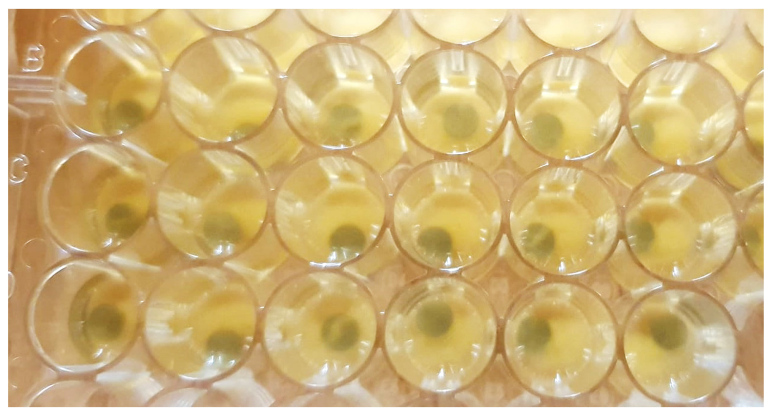 Materials 14 06078 g003