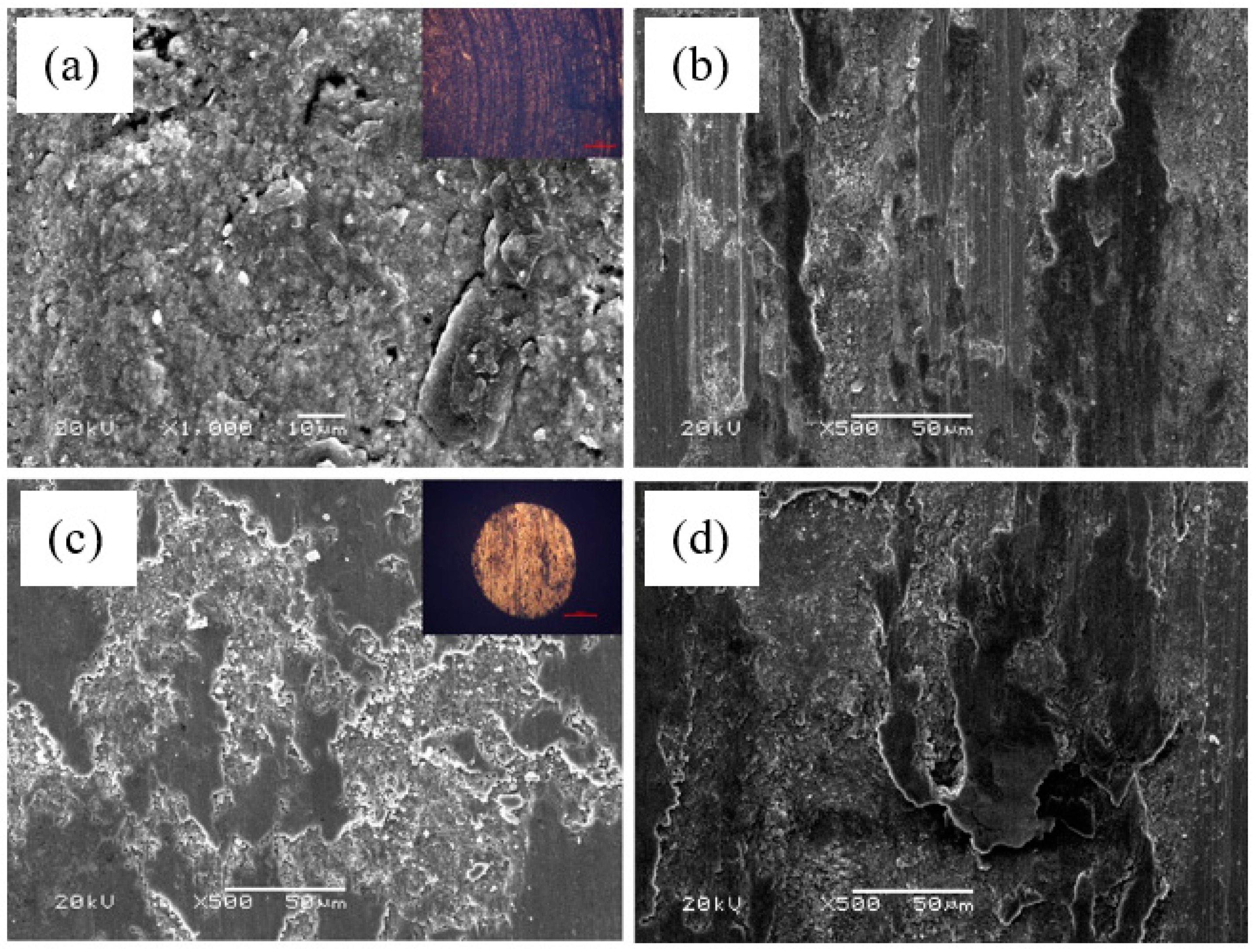 Materials 14 06088 g006