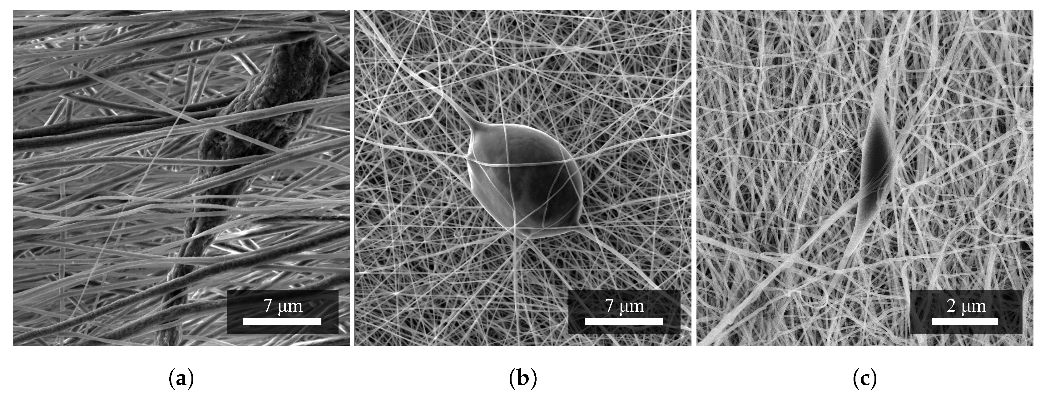 Materials 14 06096 g003 550