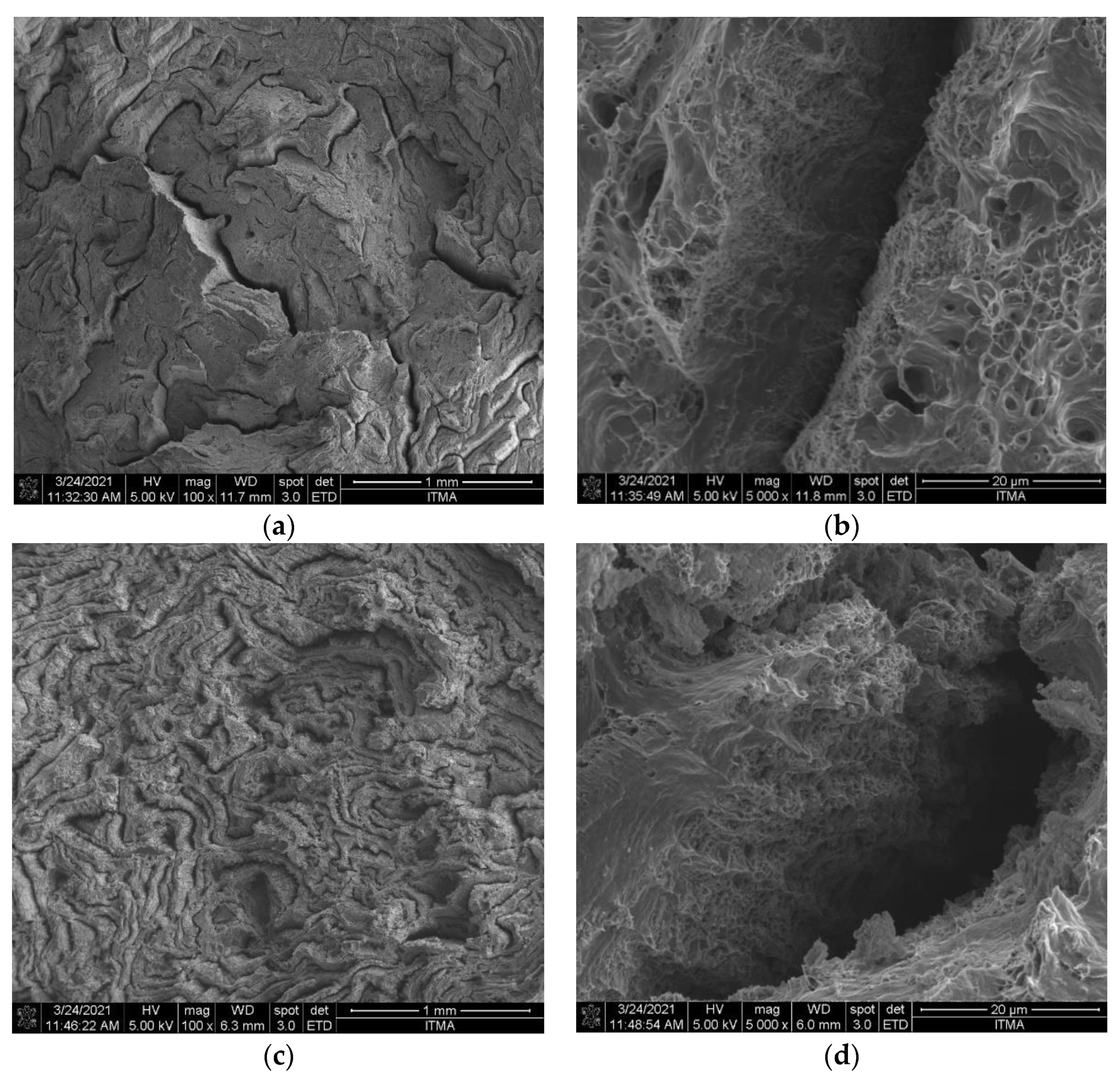 Materials 14 06102 g019