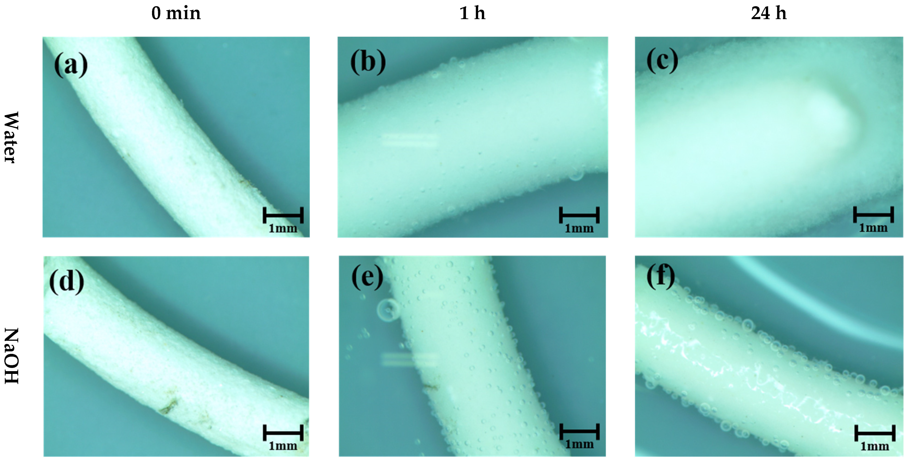 Materials 14 06113 g004a