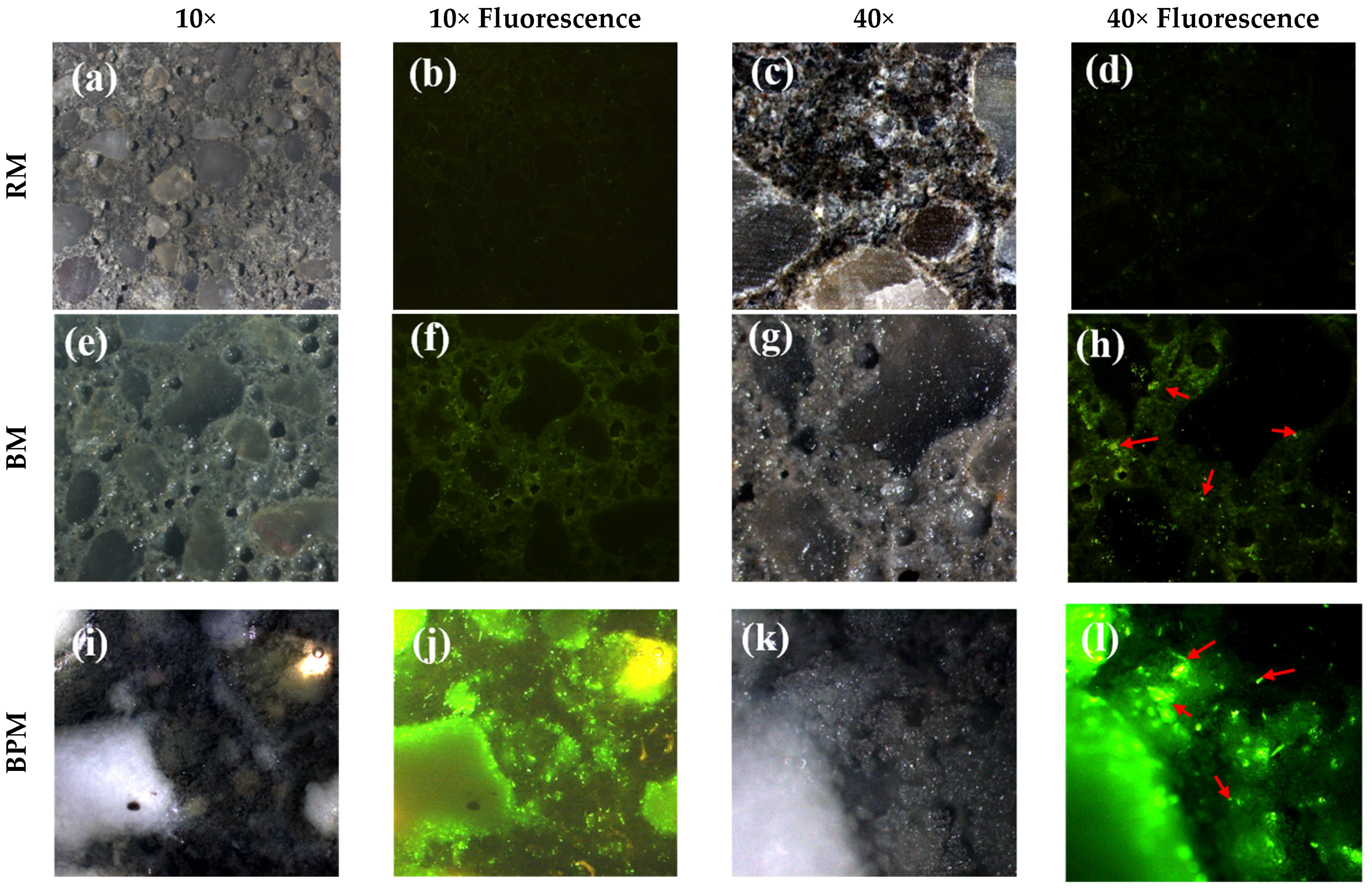 Materials 14 06113 g006