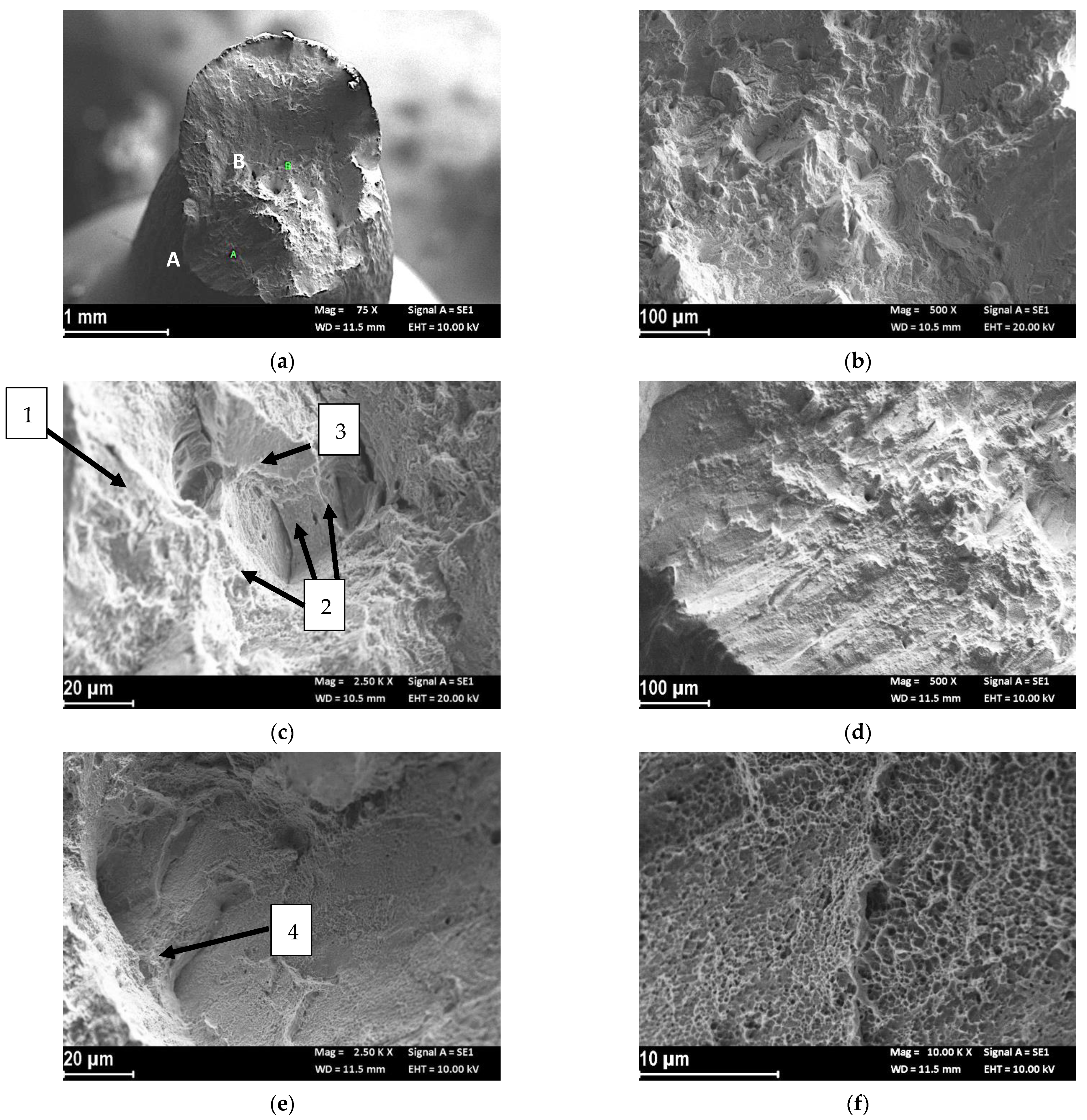 Materials 14 06115 g003 550