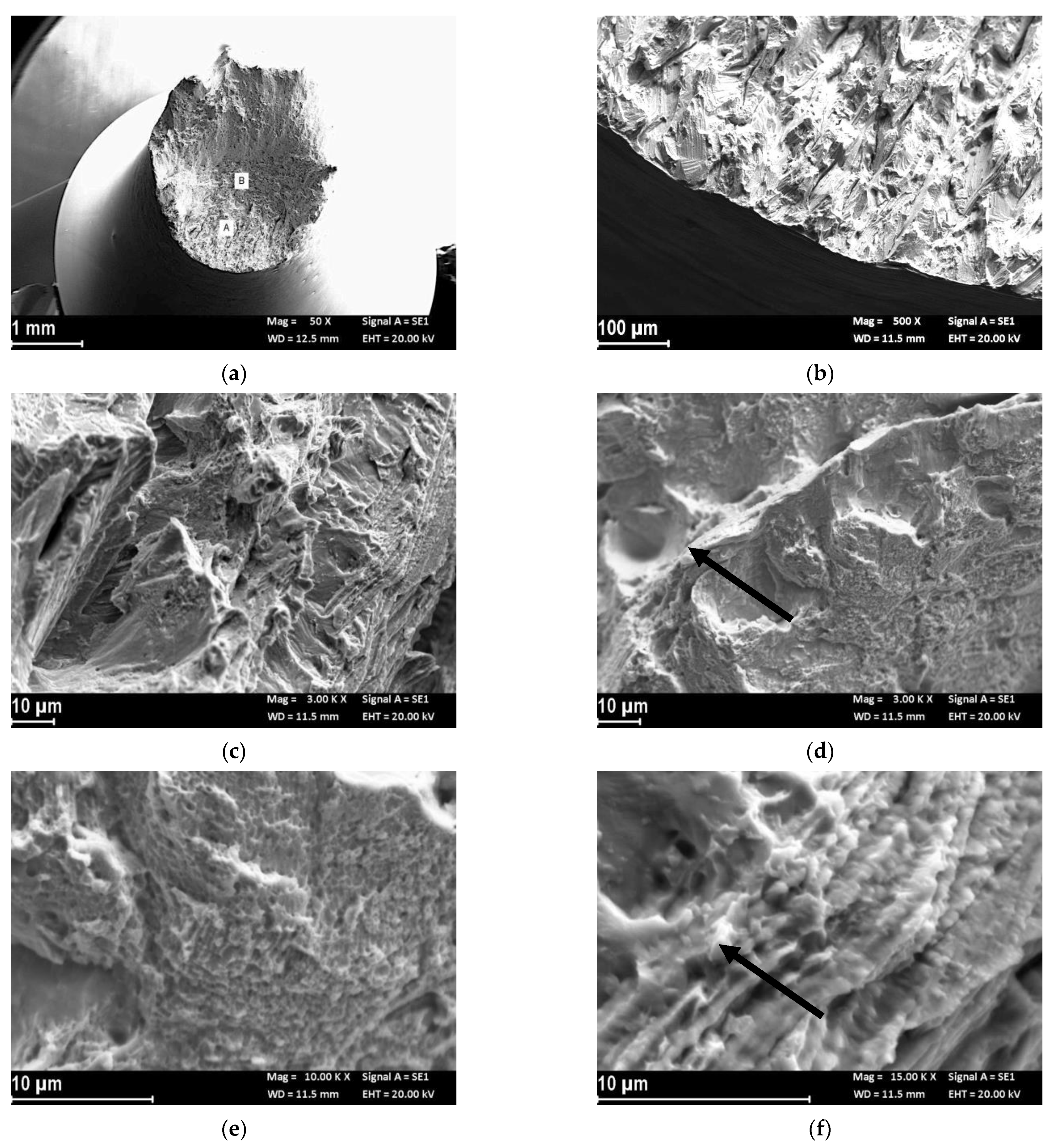 Materials 14 06115 g004 550