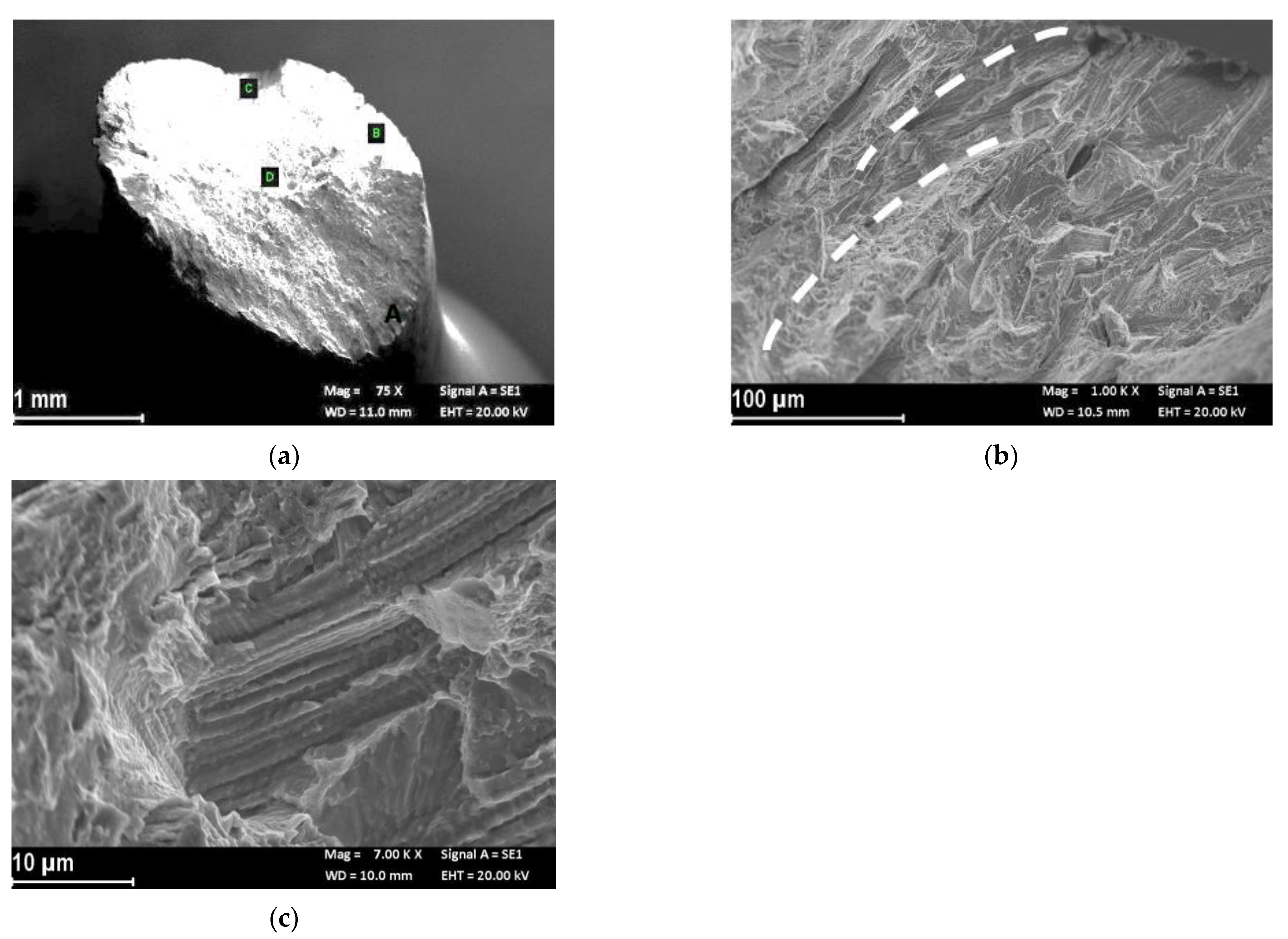 Materials 14 06115 g005 550