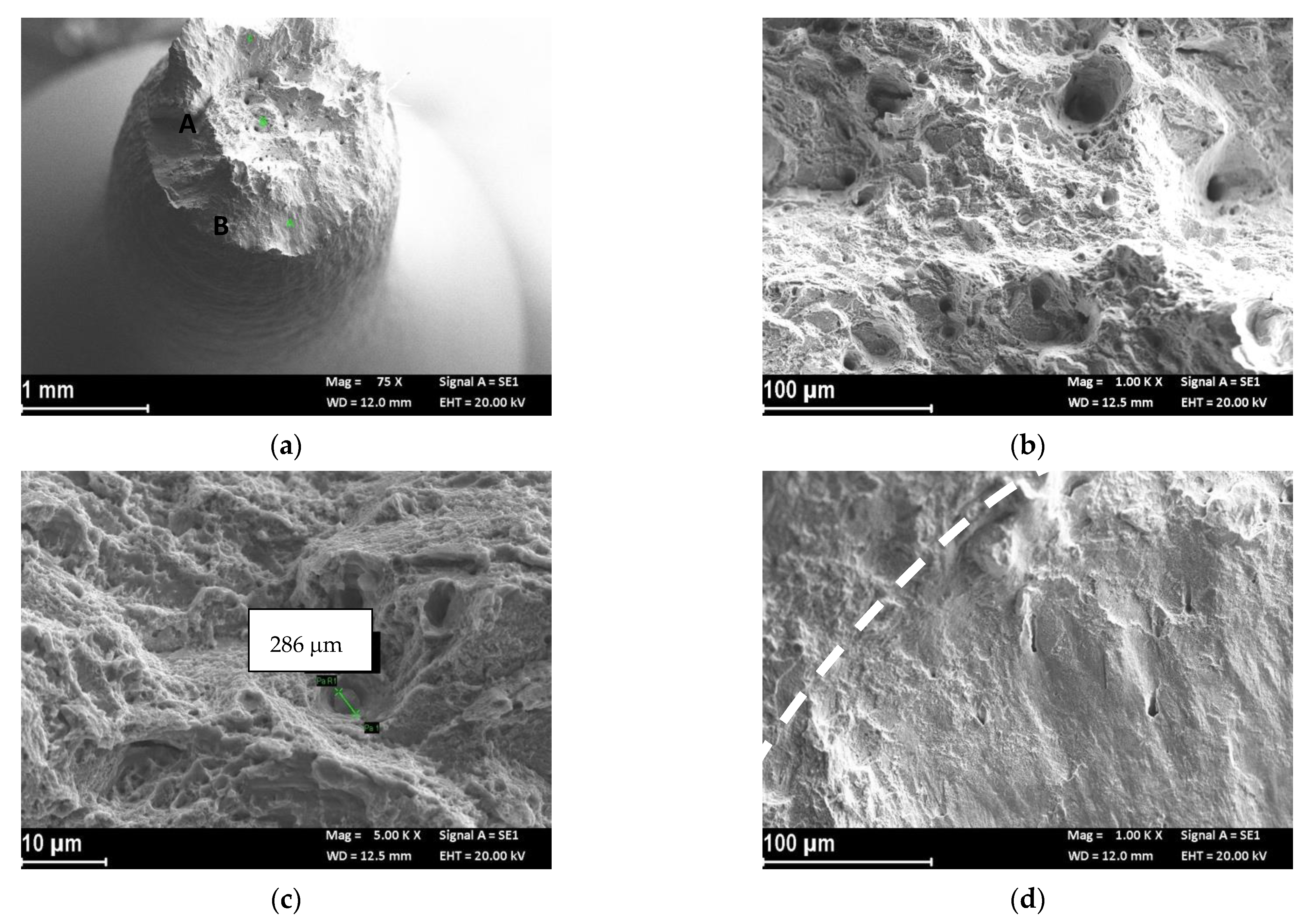 Materials 14 06115 g006 550