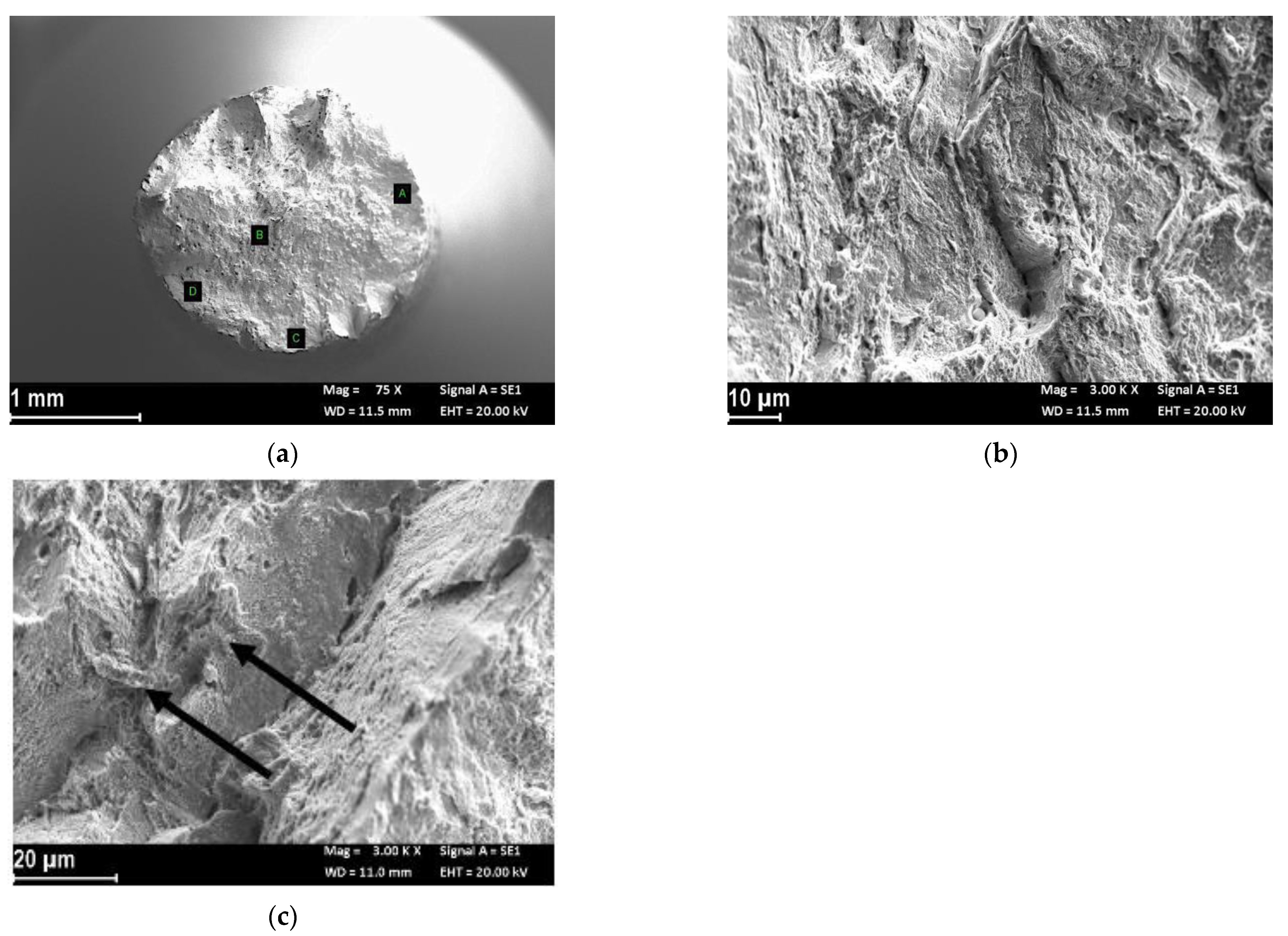 Materials 14 06115 g008 550