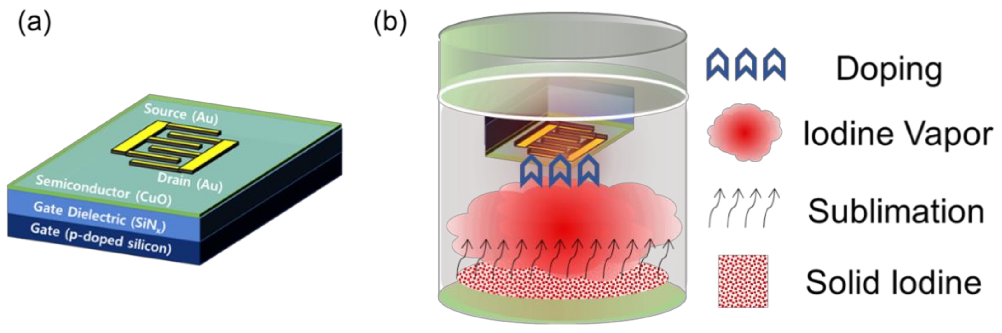 Materials 14 06118 g001 550