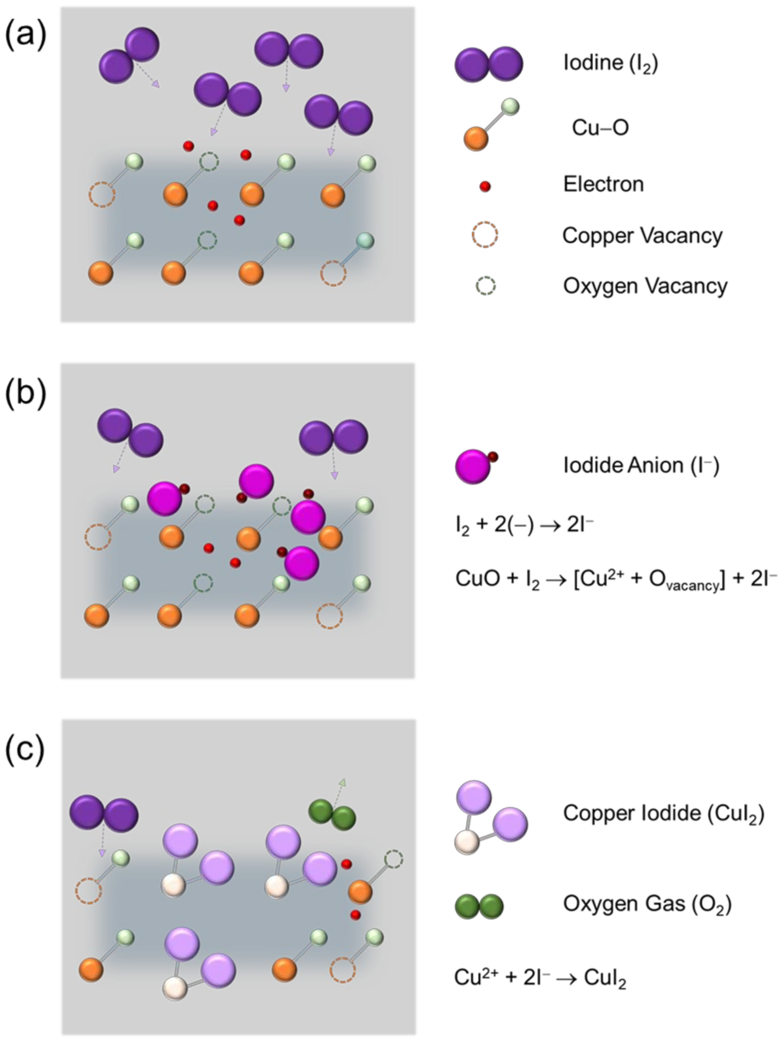 Materials 14 06118 g007 550