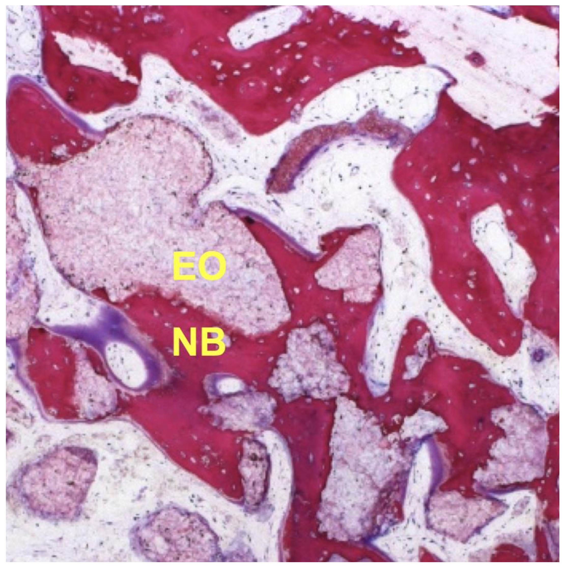 Materials 14 06123 g001