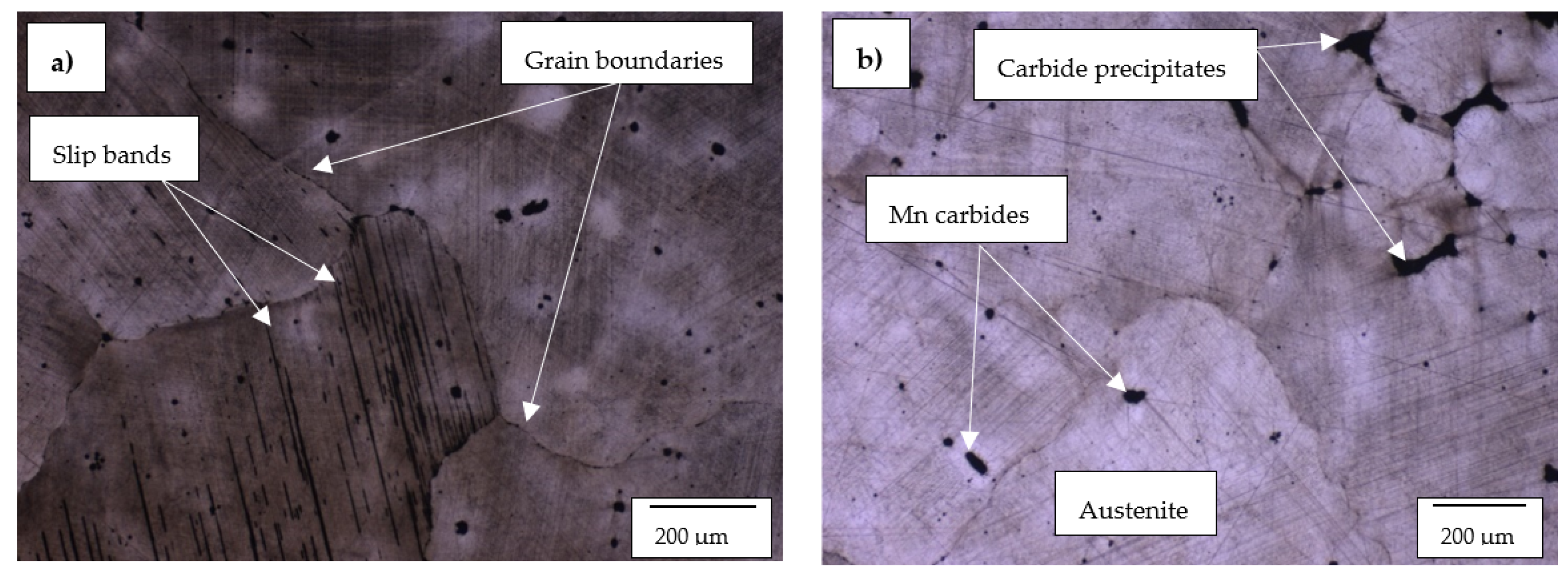 Materials 14 06130 g005