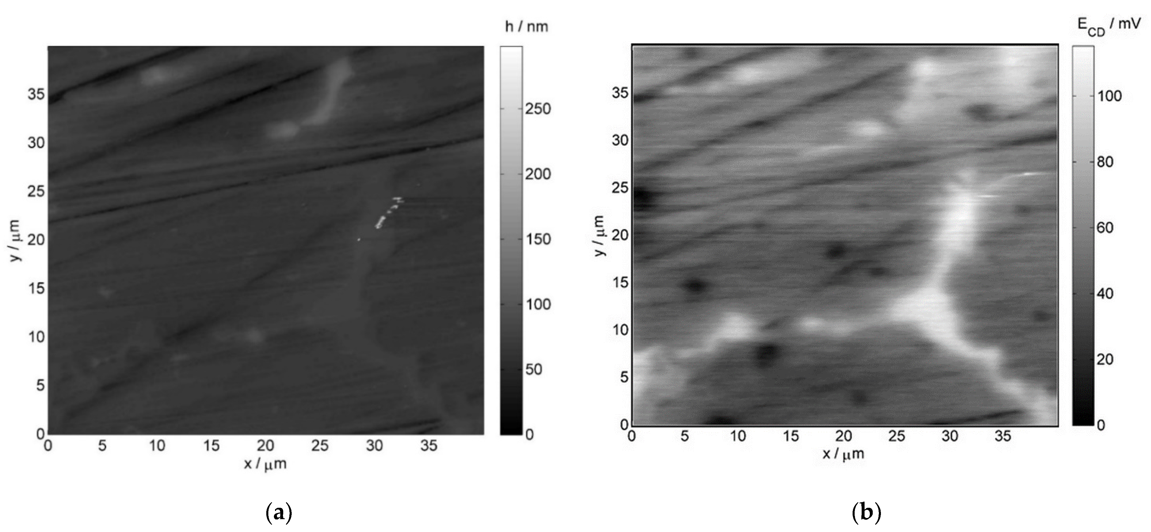 Materials 14 06139 g006