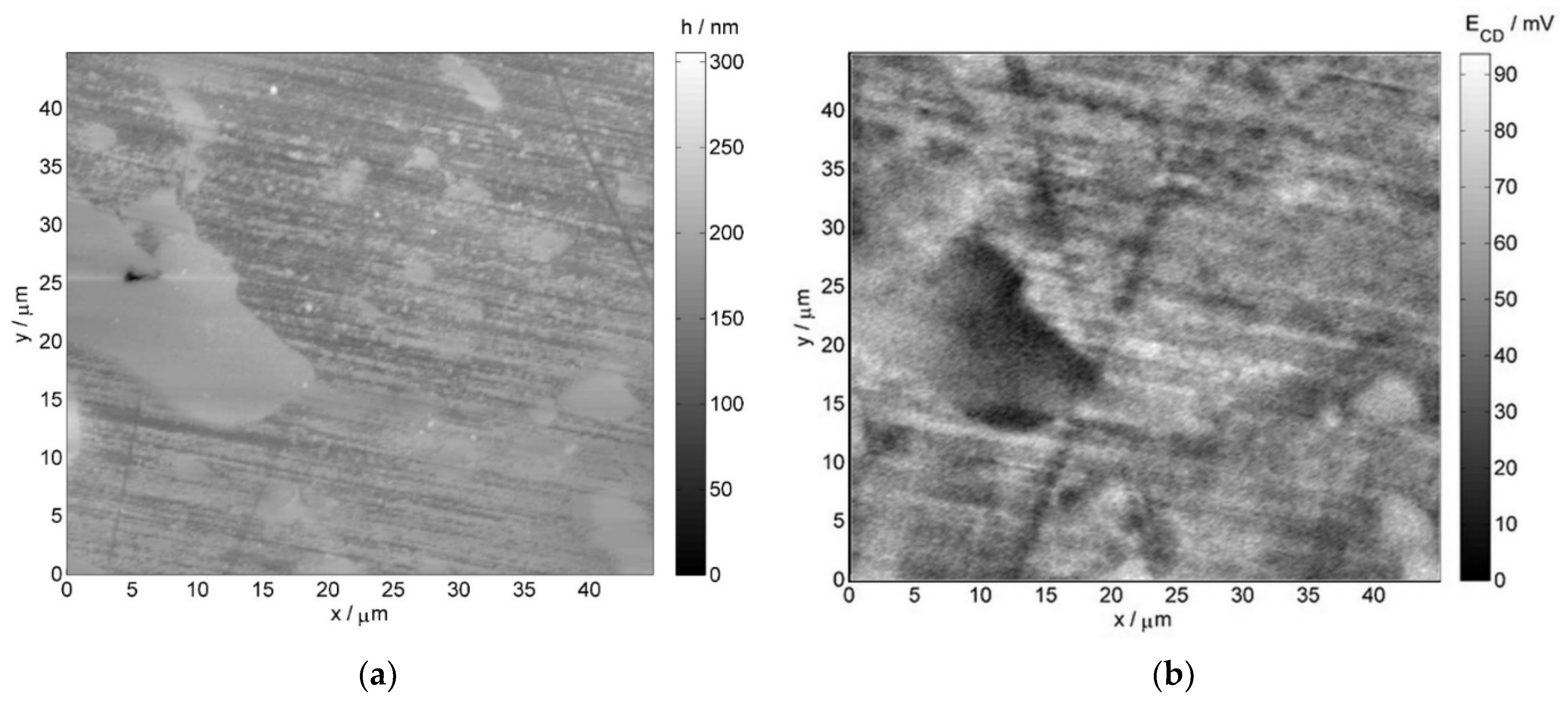 Materials 14 06139 g007