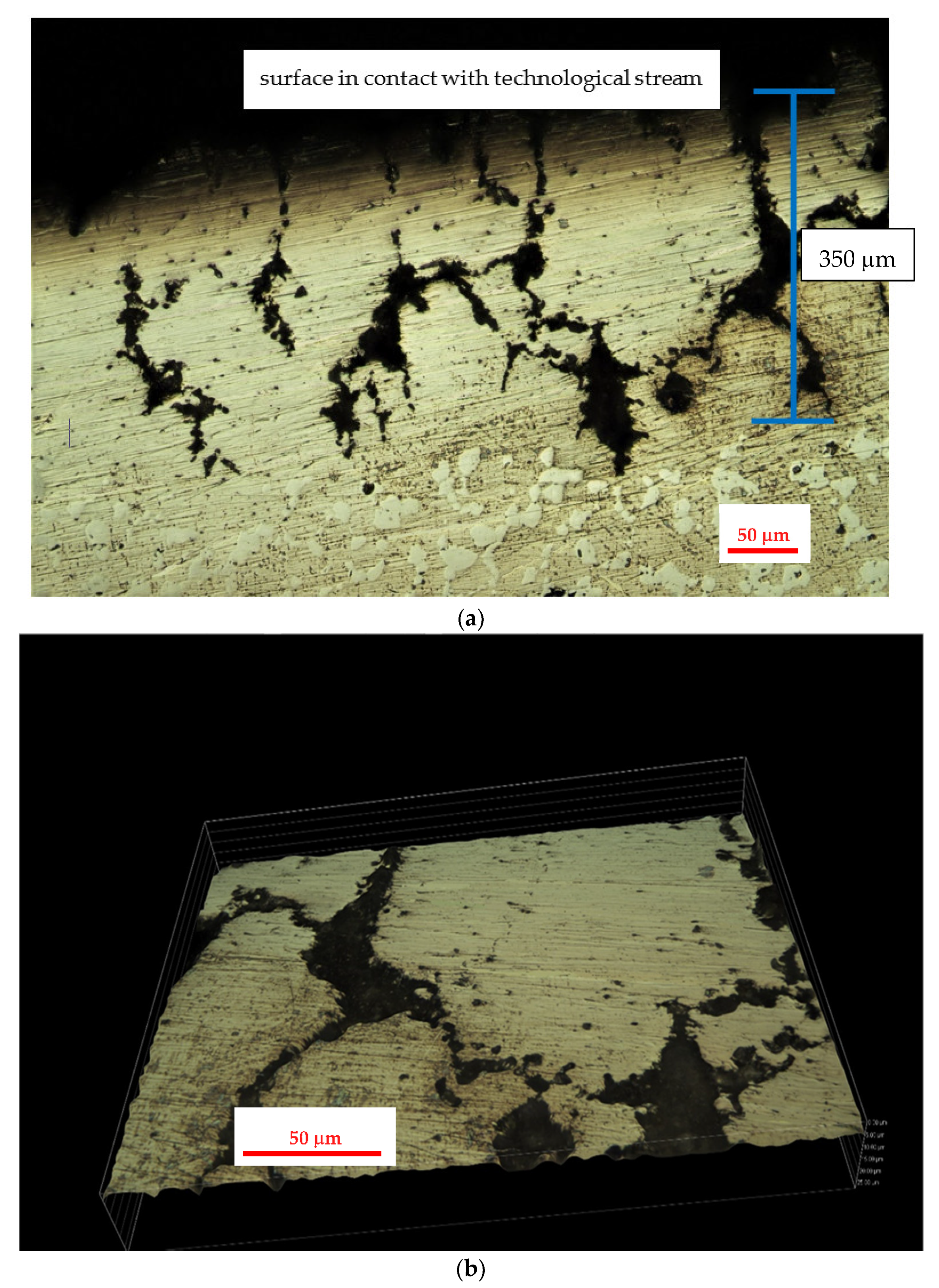 Materials 14 06139 g008