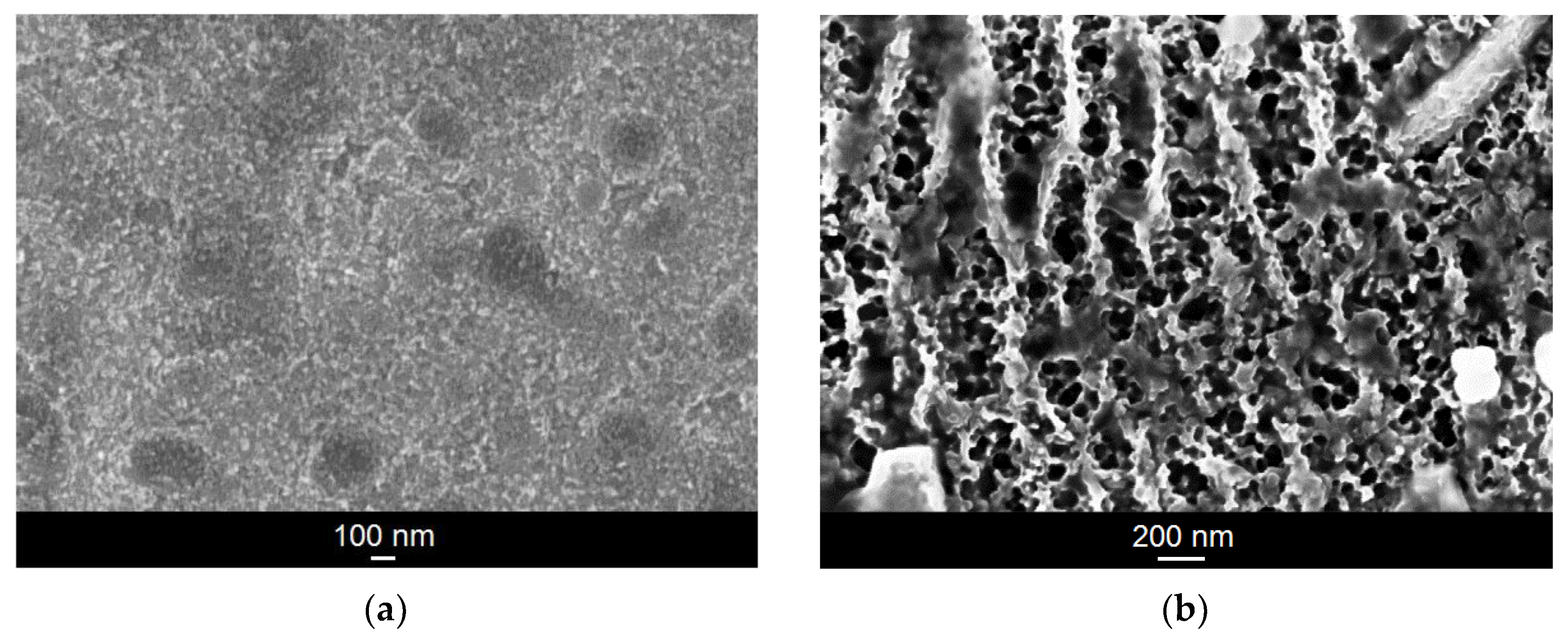 Materials 14 06142 g001