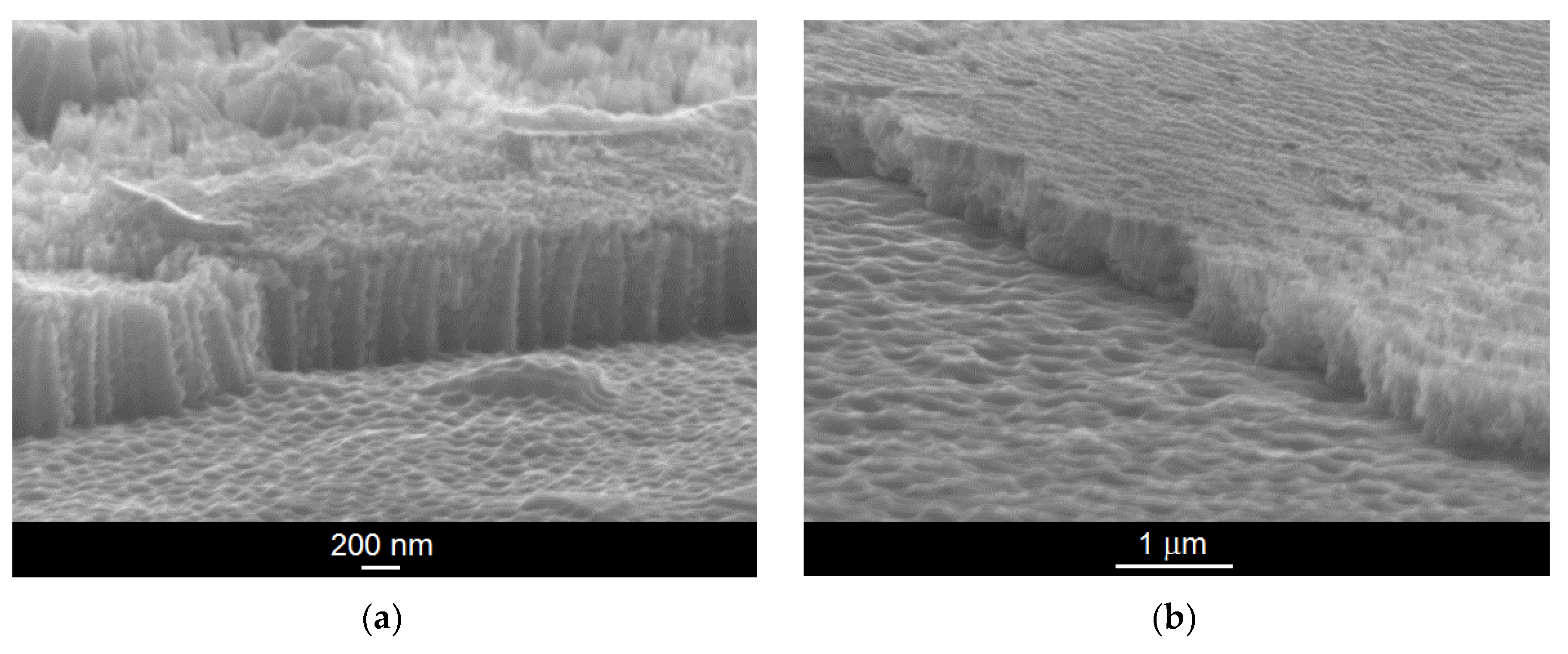 Materials 14 06142 g003