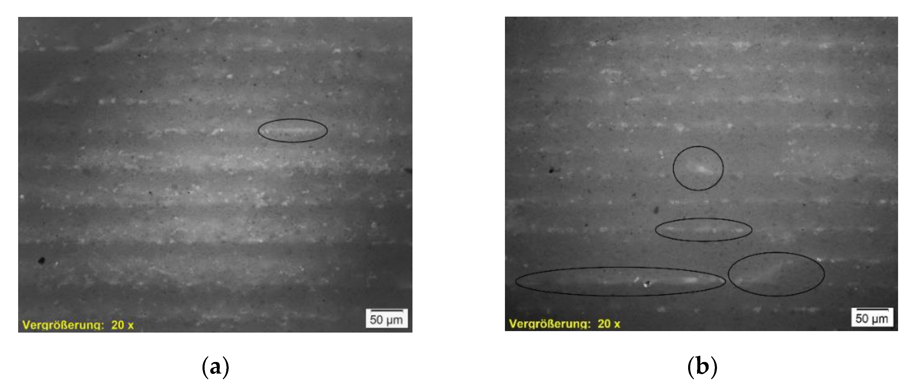 Materials 14 06149 g011 550