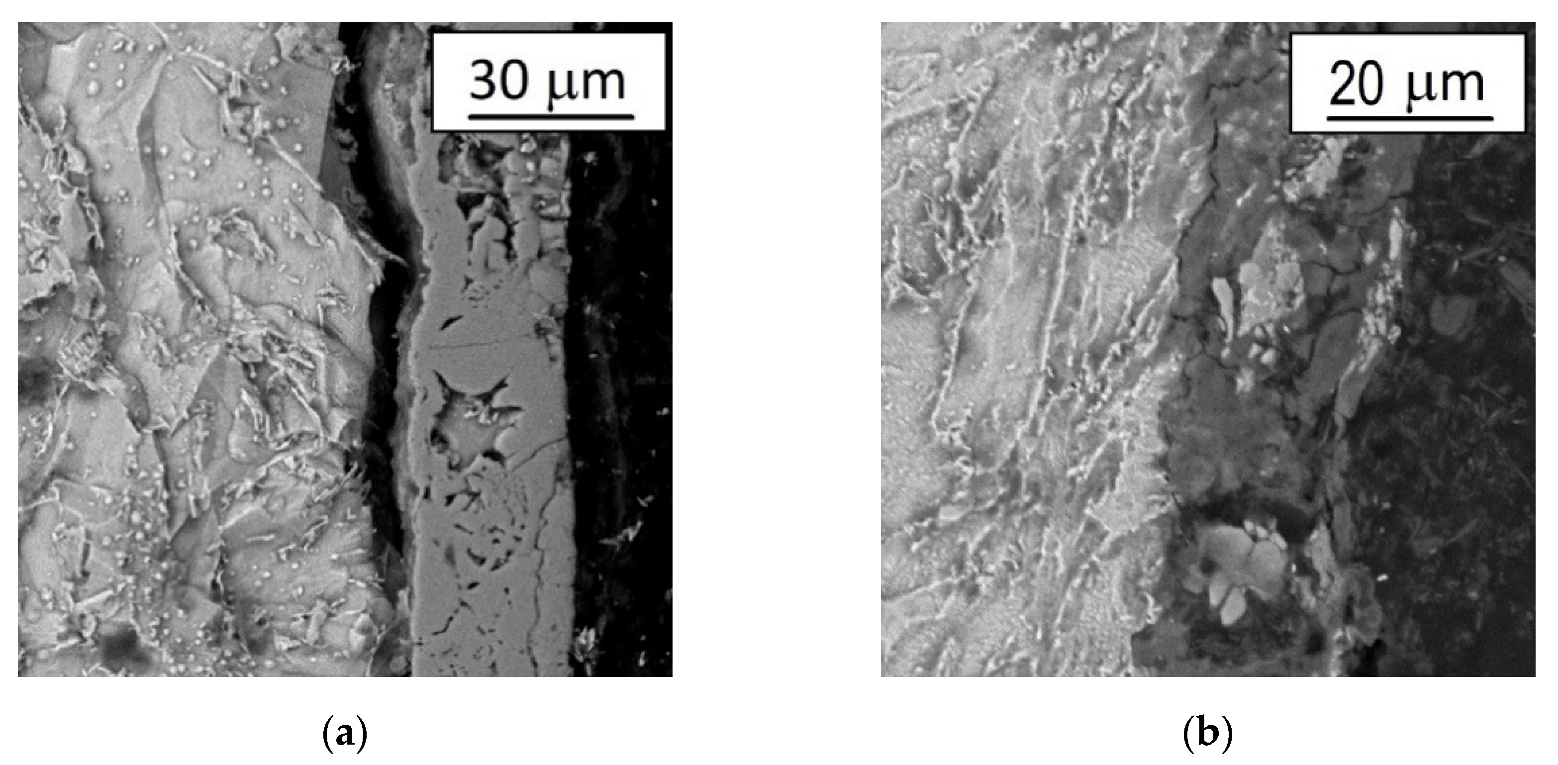 Materials 14 06155 g005 550