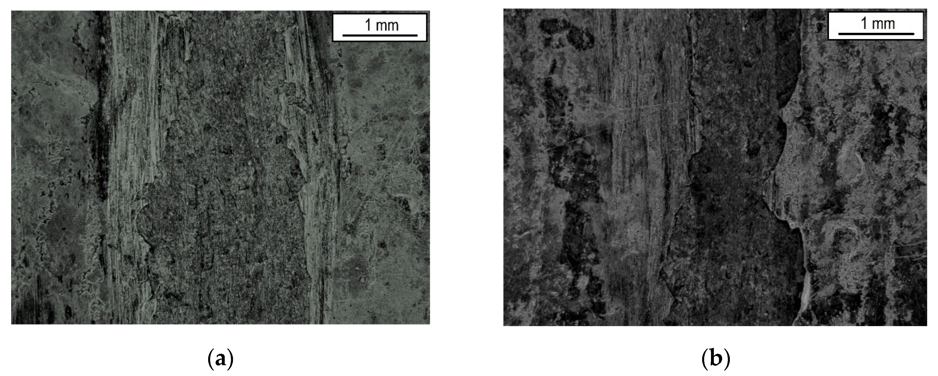 Materials 14 06155 g008 550