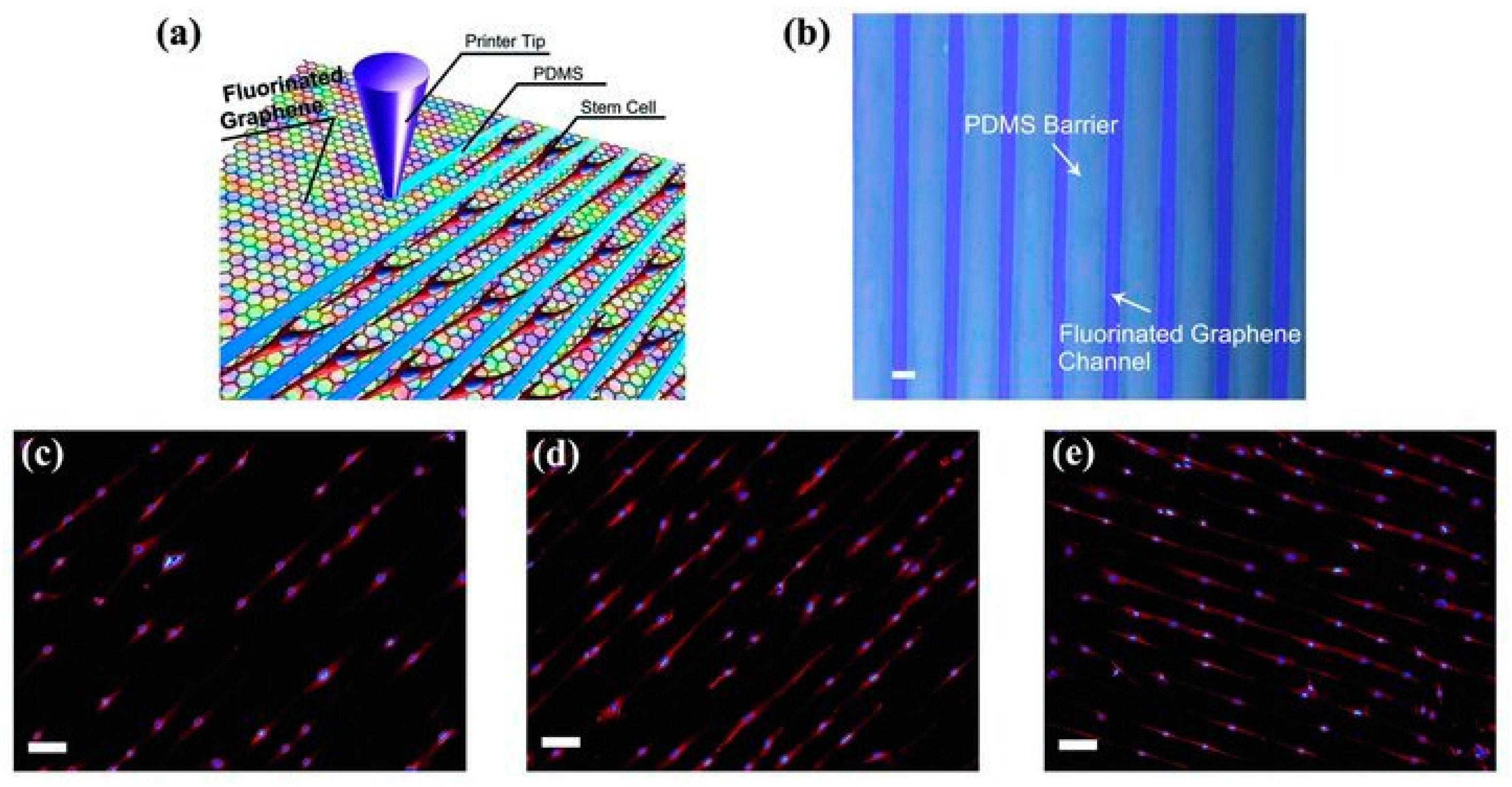 Materials 14 06170 g005