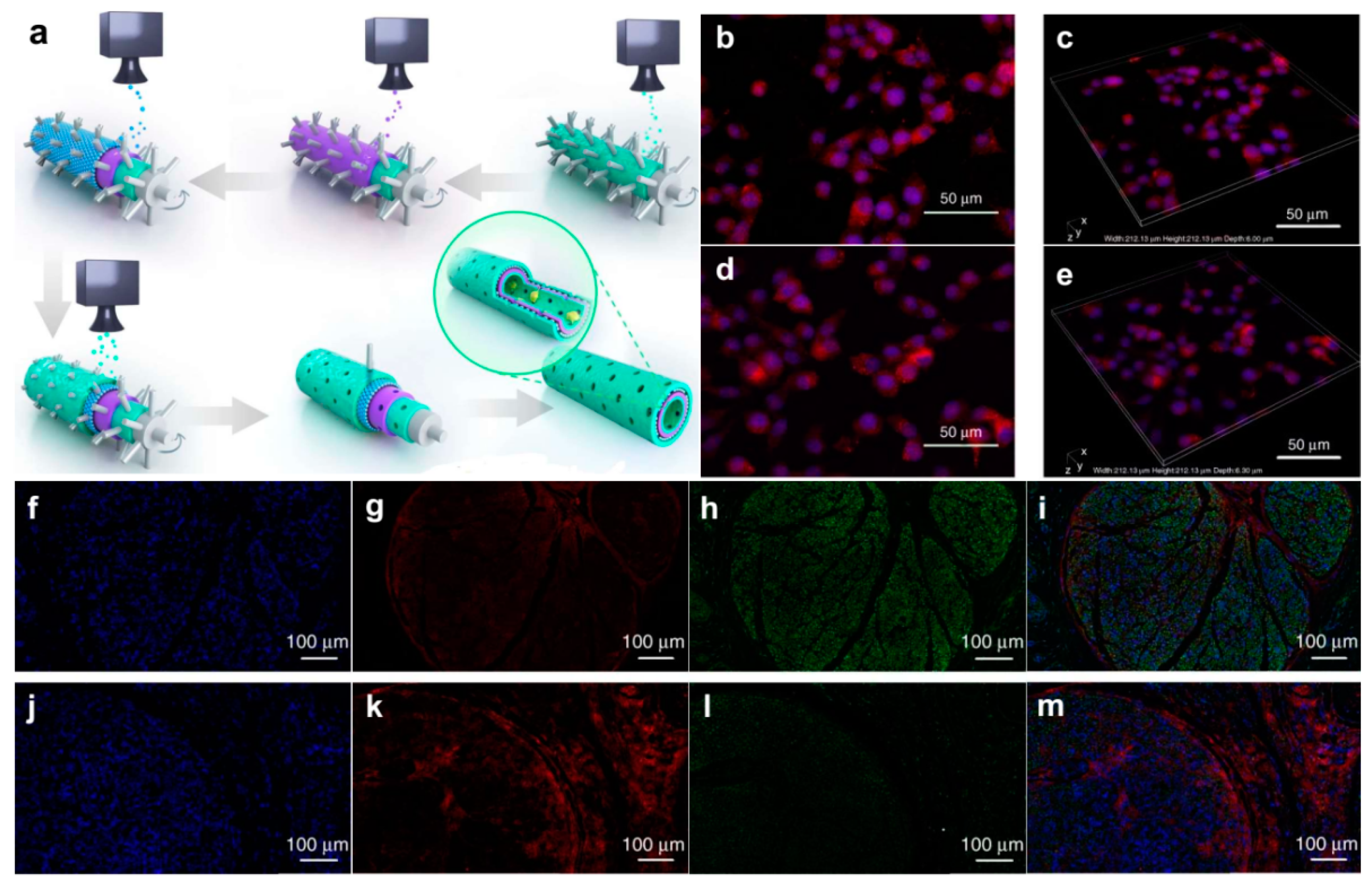 Materials 14 06170 g006