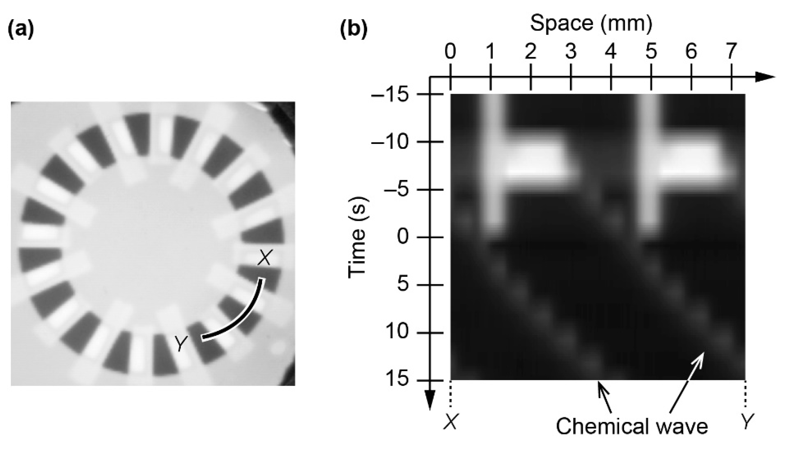 Materials 14 06177 g003
