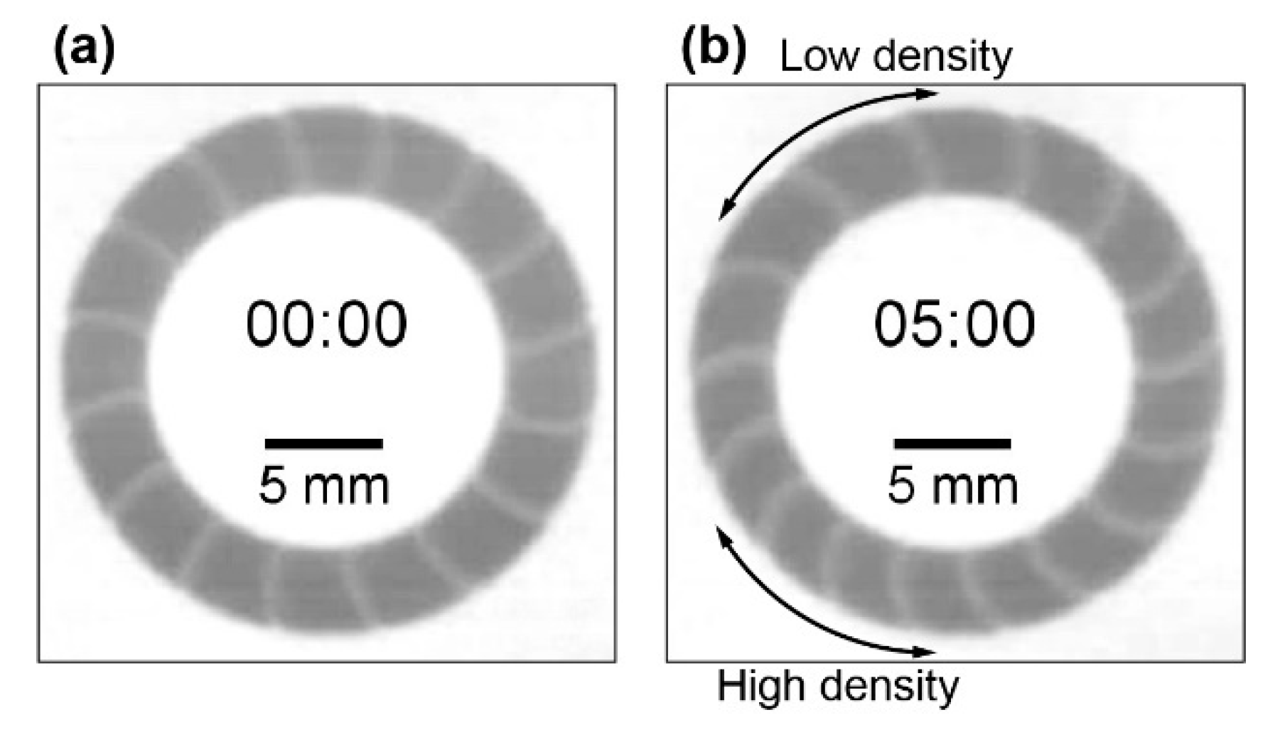 Materials 14 06177 g005