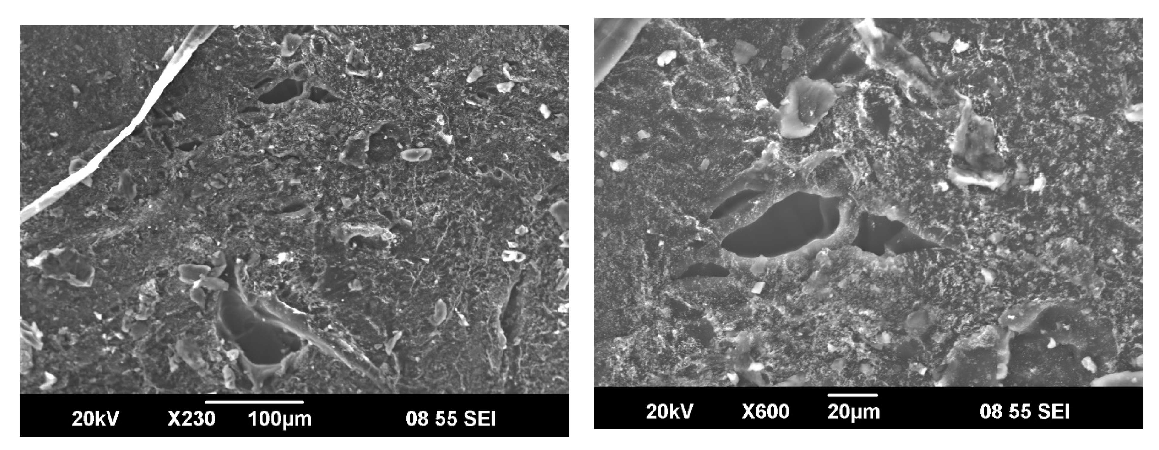 Materials 14 06191 g006