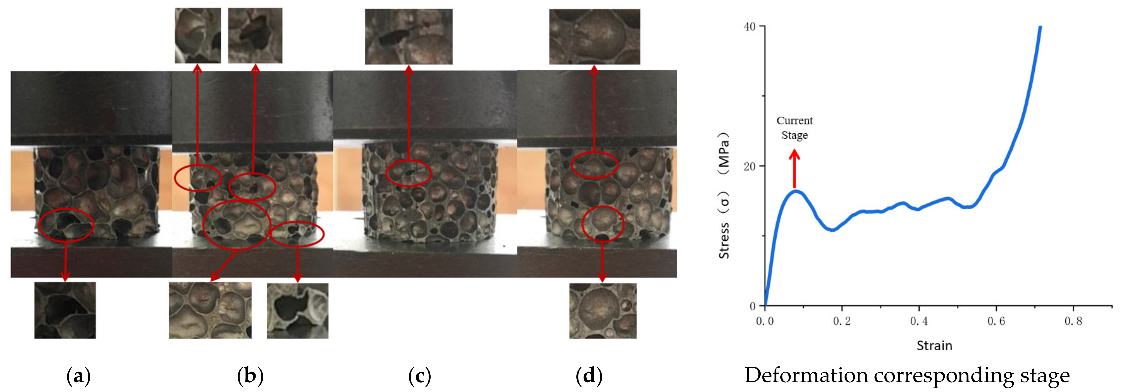 Materials 14 06206 g007
