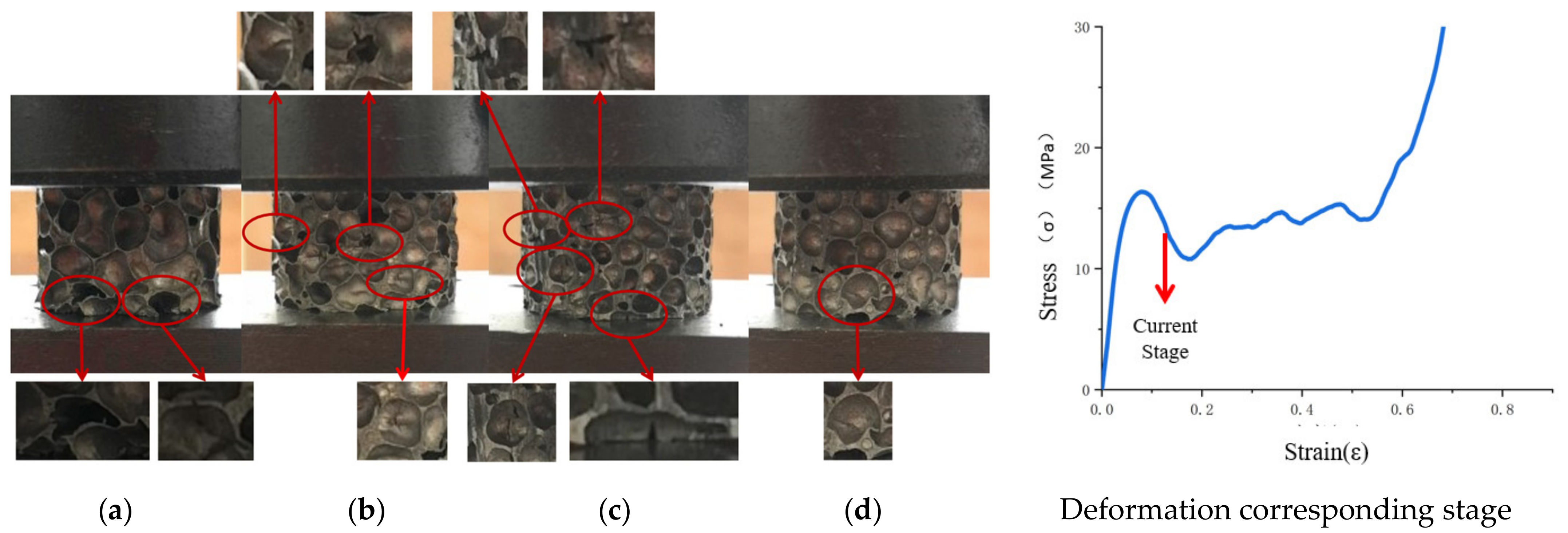 Materials 14 06206 g008