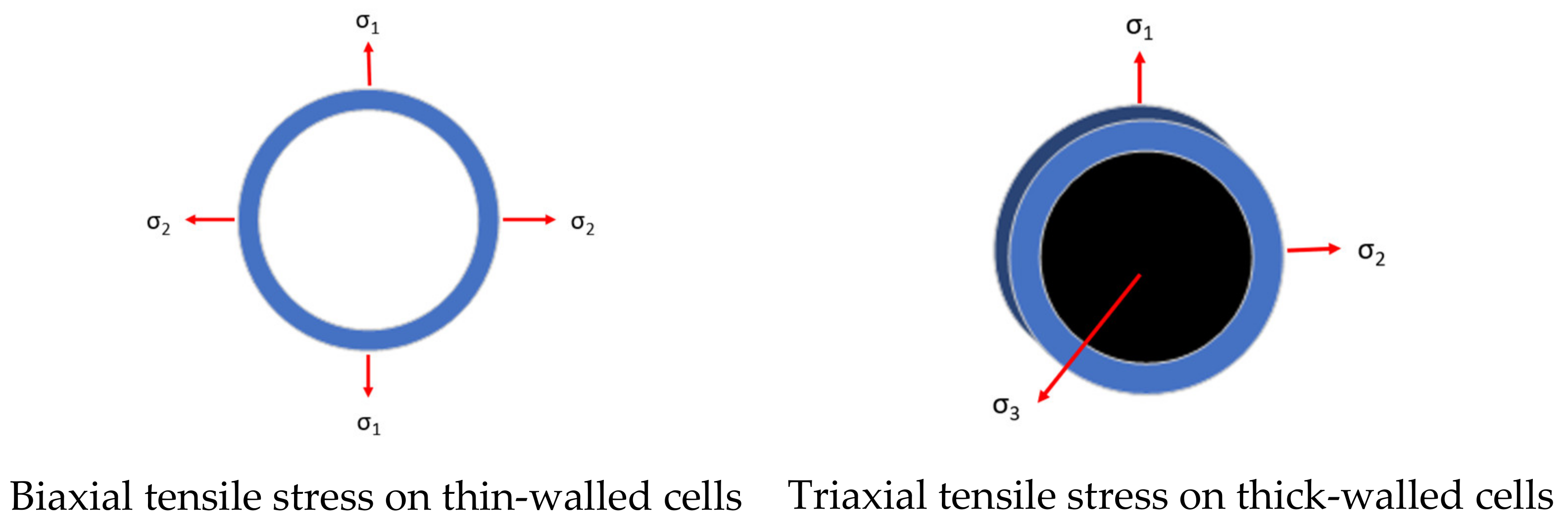 Materials 14 06206 g009
