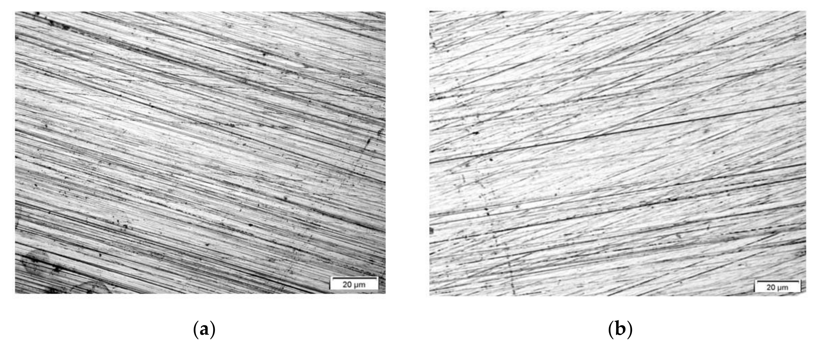 Materials 14 06209 g001a