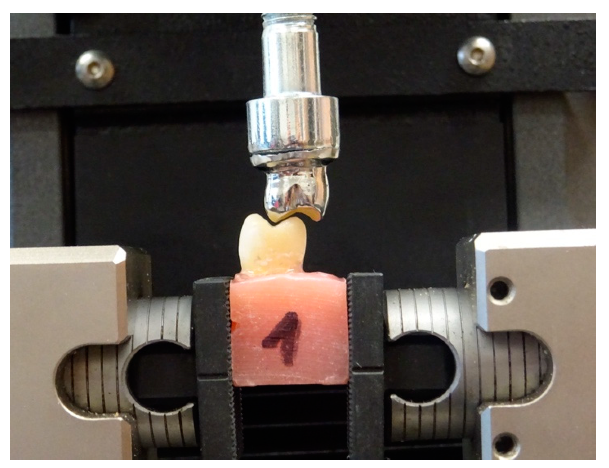 Materials 14 06214 g003