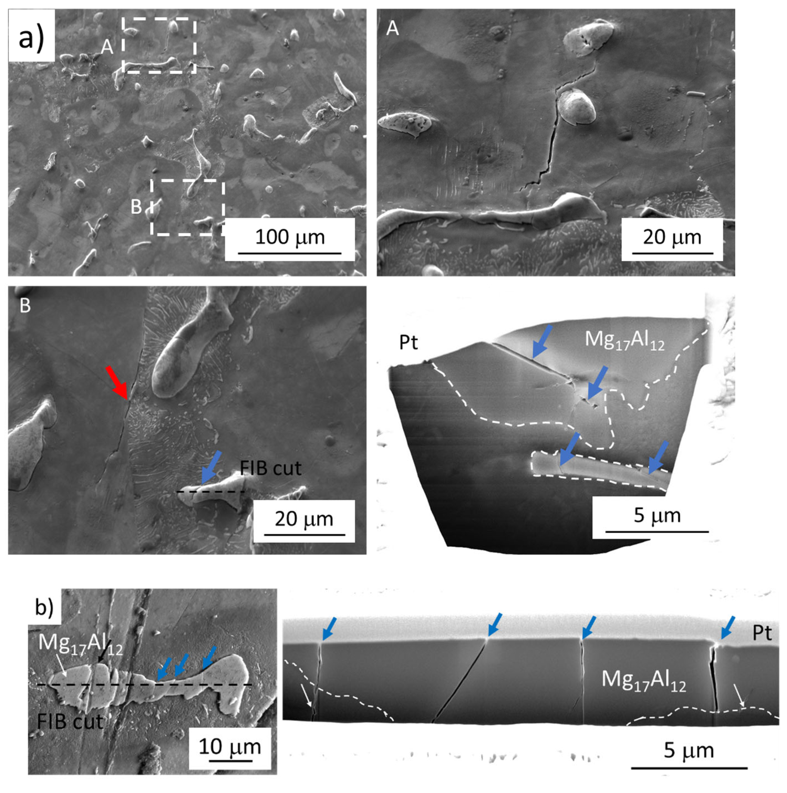Materials 14 06245 g007 550