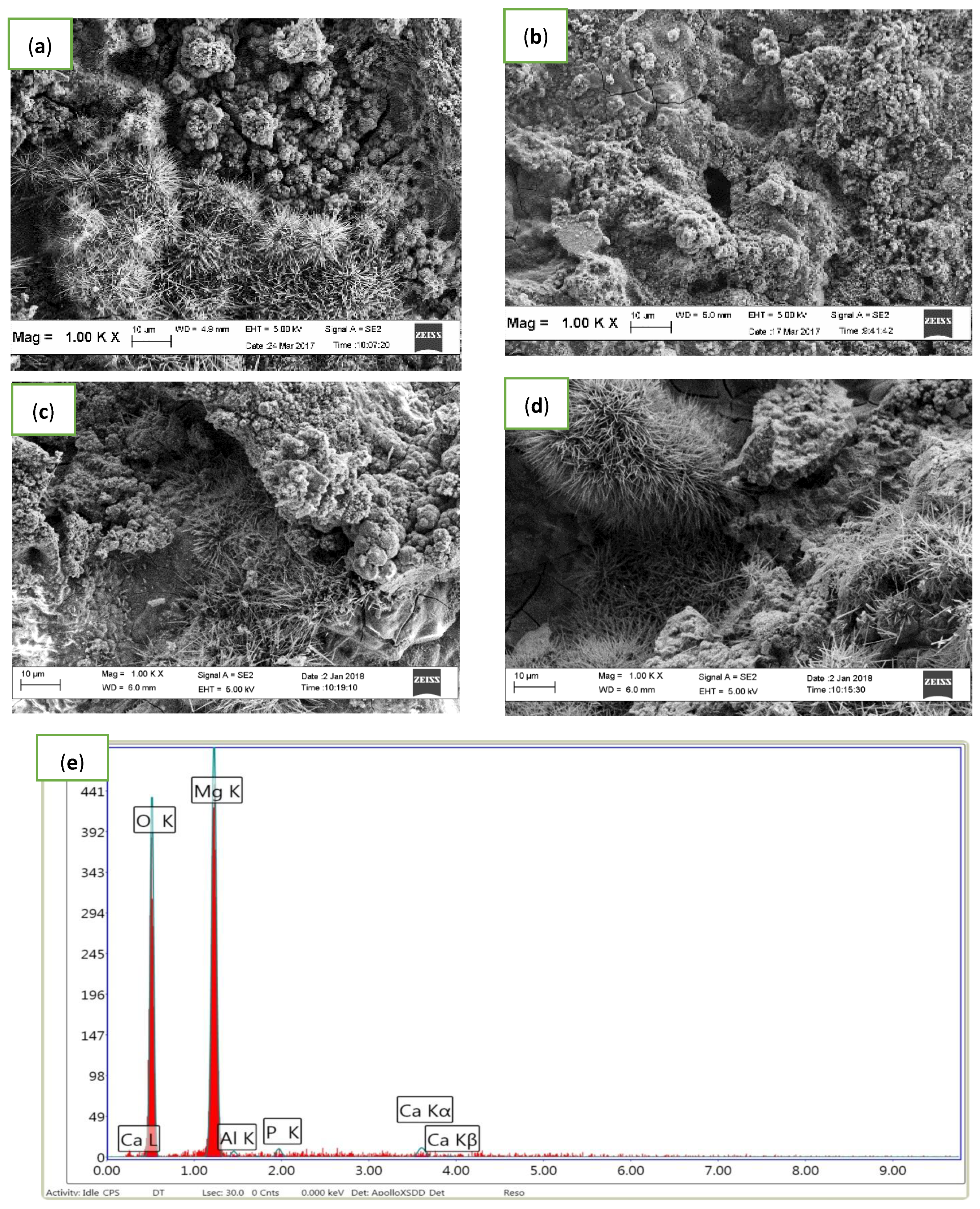Materials 14 06246 g010