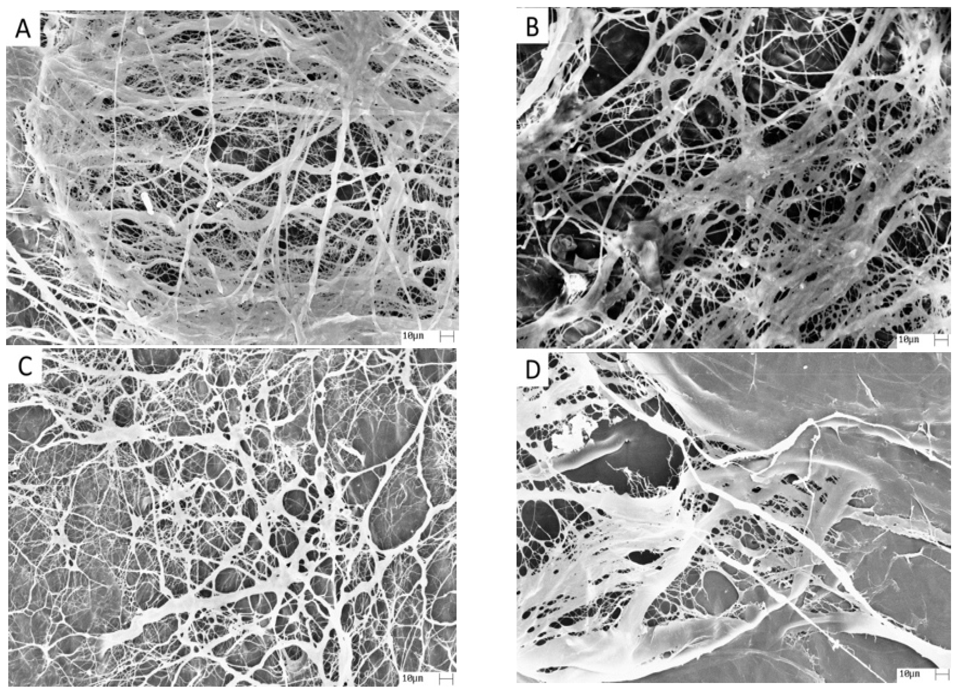 Materials 14 06255 g001 Materials 14 06255 g001