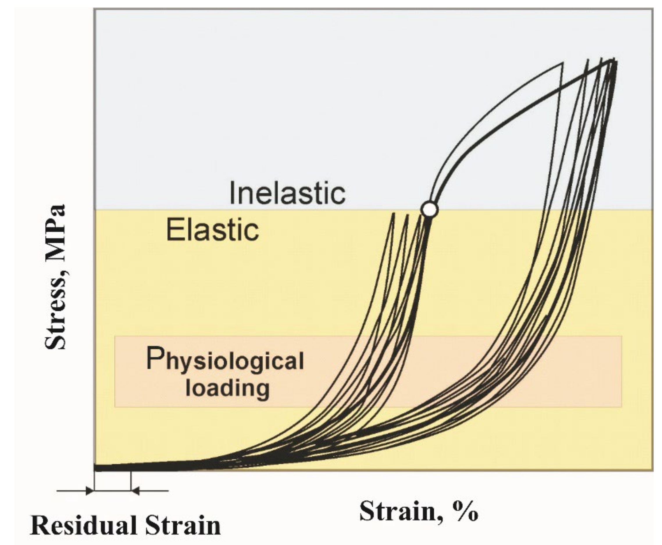 Materials 14 06256 g003 550