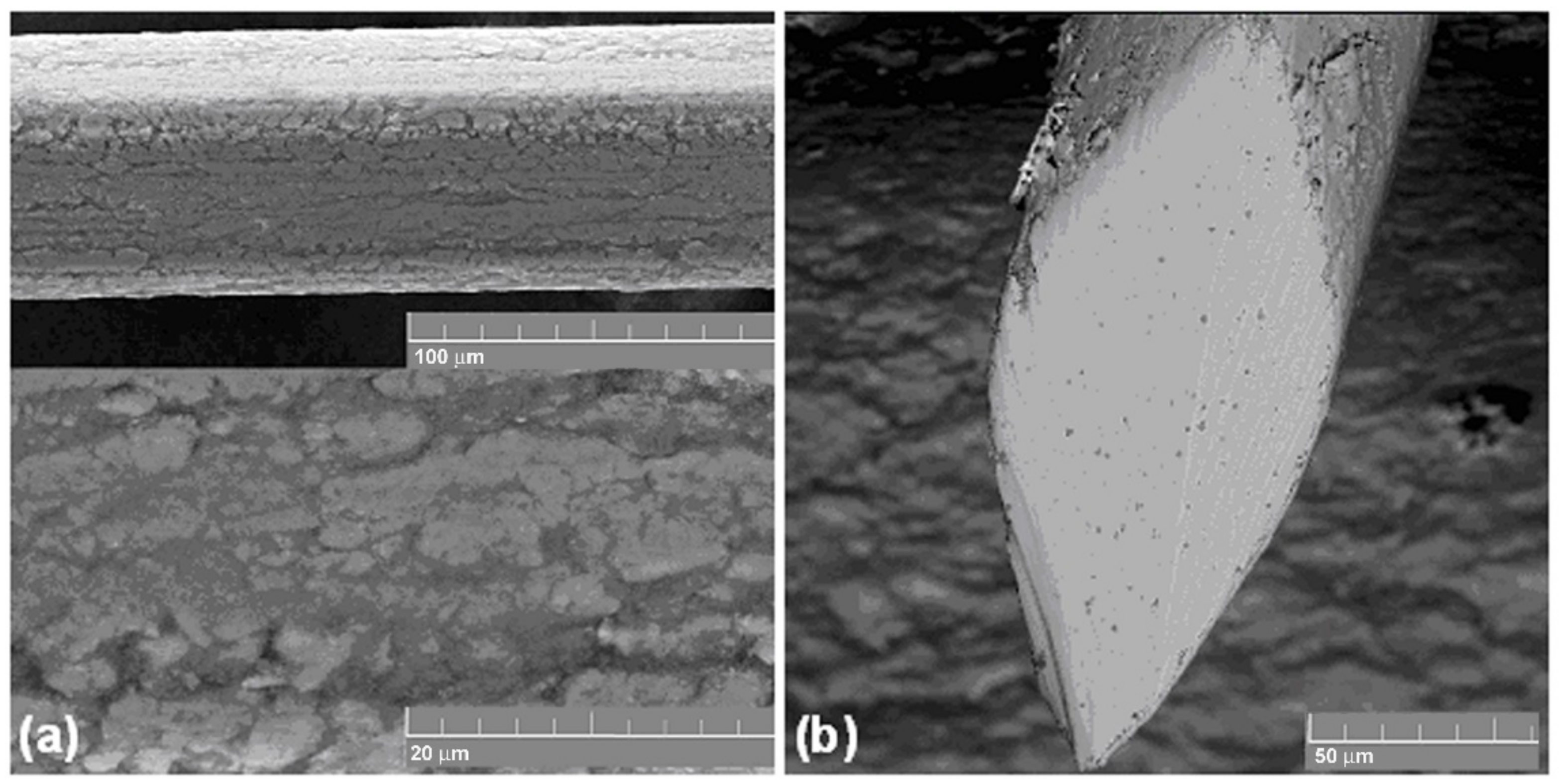 Materials 14 06256 g009 550