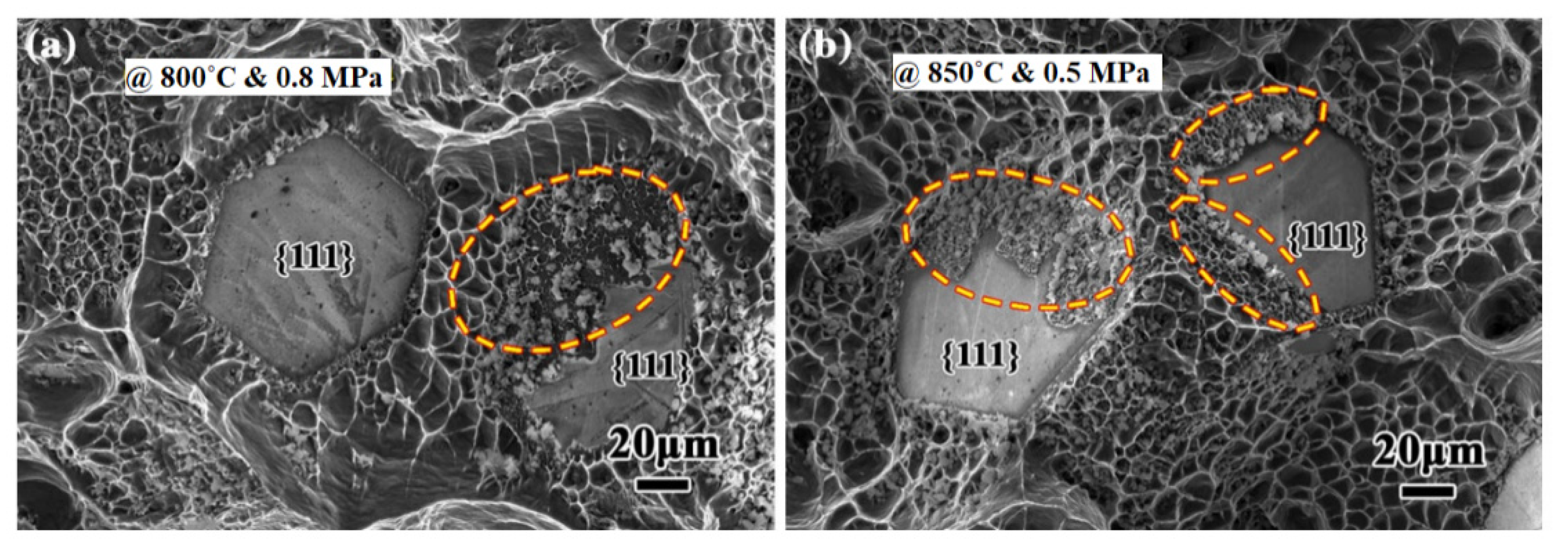 Materials 14 06257 g008
