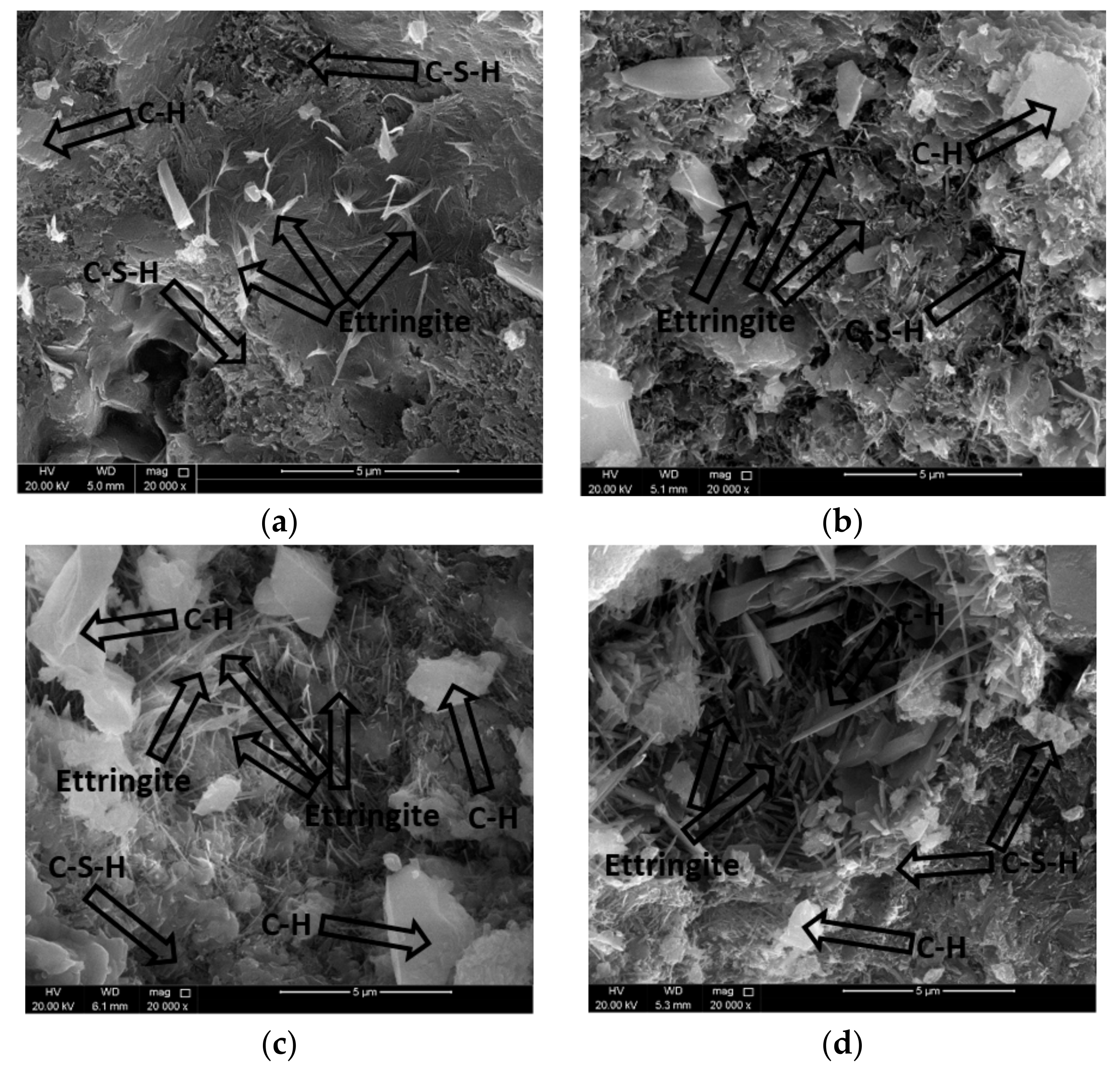 Materials 14 06263 g006