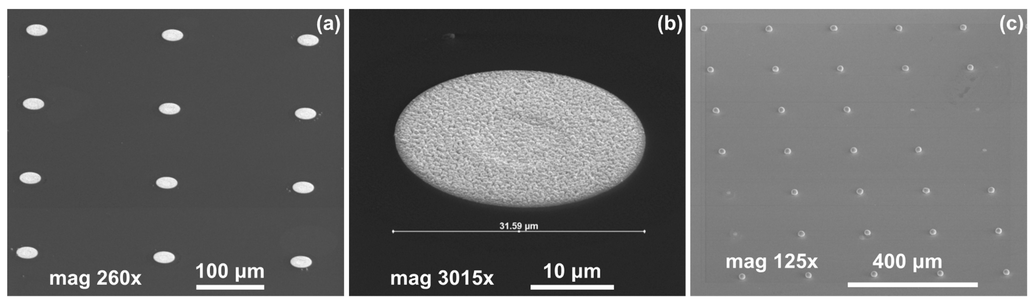 Materials 14 06269 g004 Materials 14 06269 g004