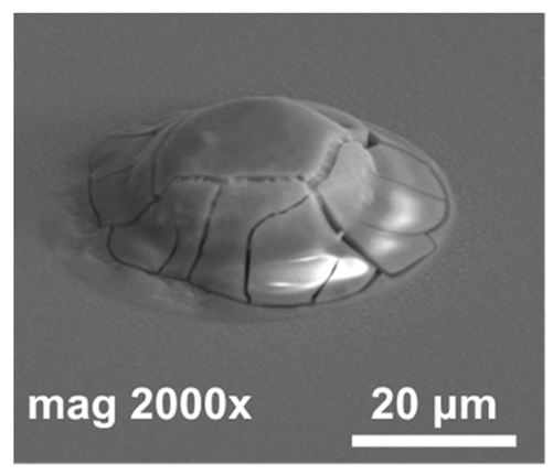 Materials 14 06269 i001 Materials 14 06269 i001