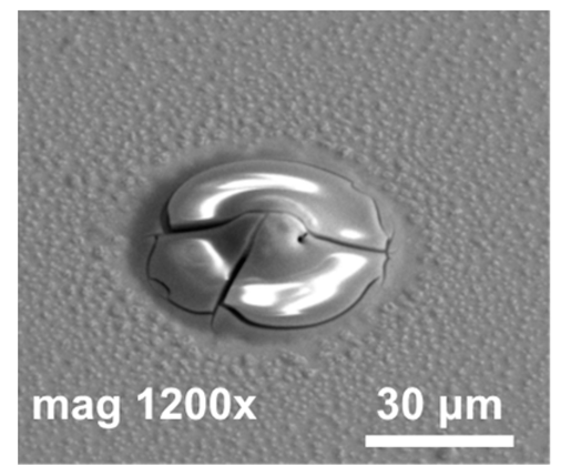 Materials 14 06269 i002 Materials 14 06269 i002