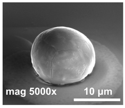 Materials 14 06269 i003 Materials 14 06269 i003